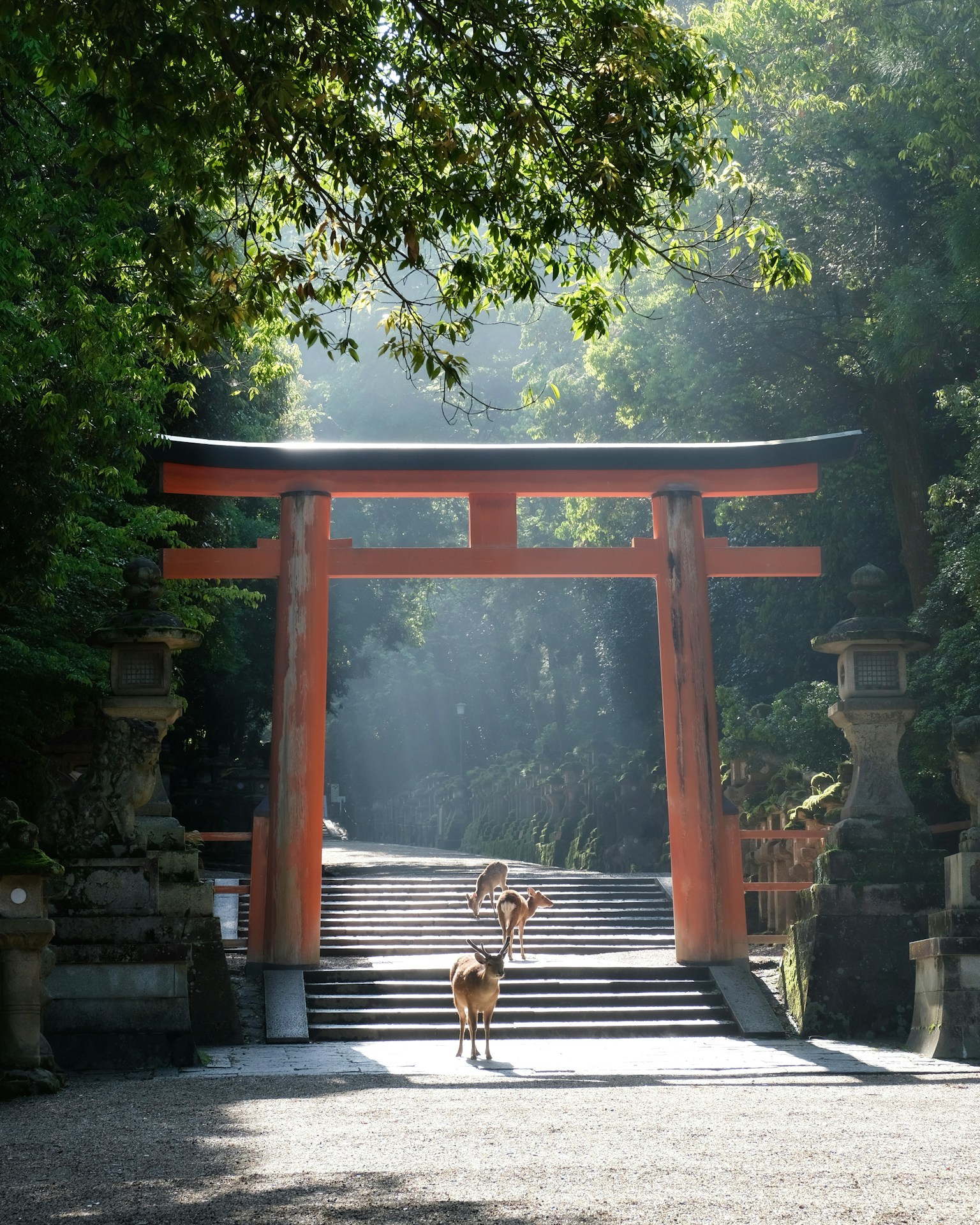 photo-xkYhy3o8CQIb2Acxh25C-image