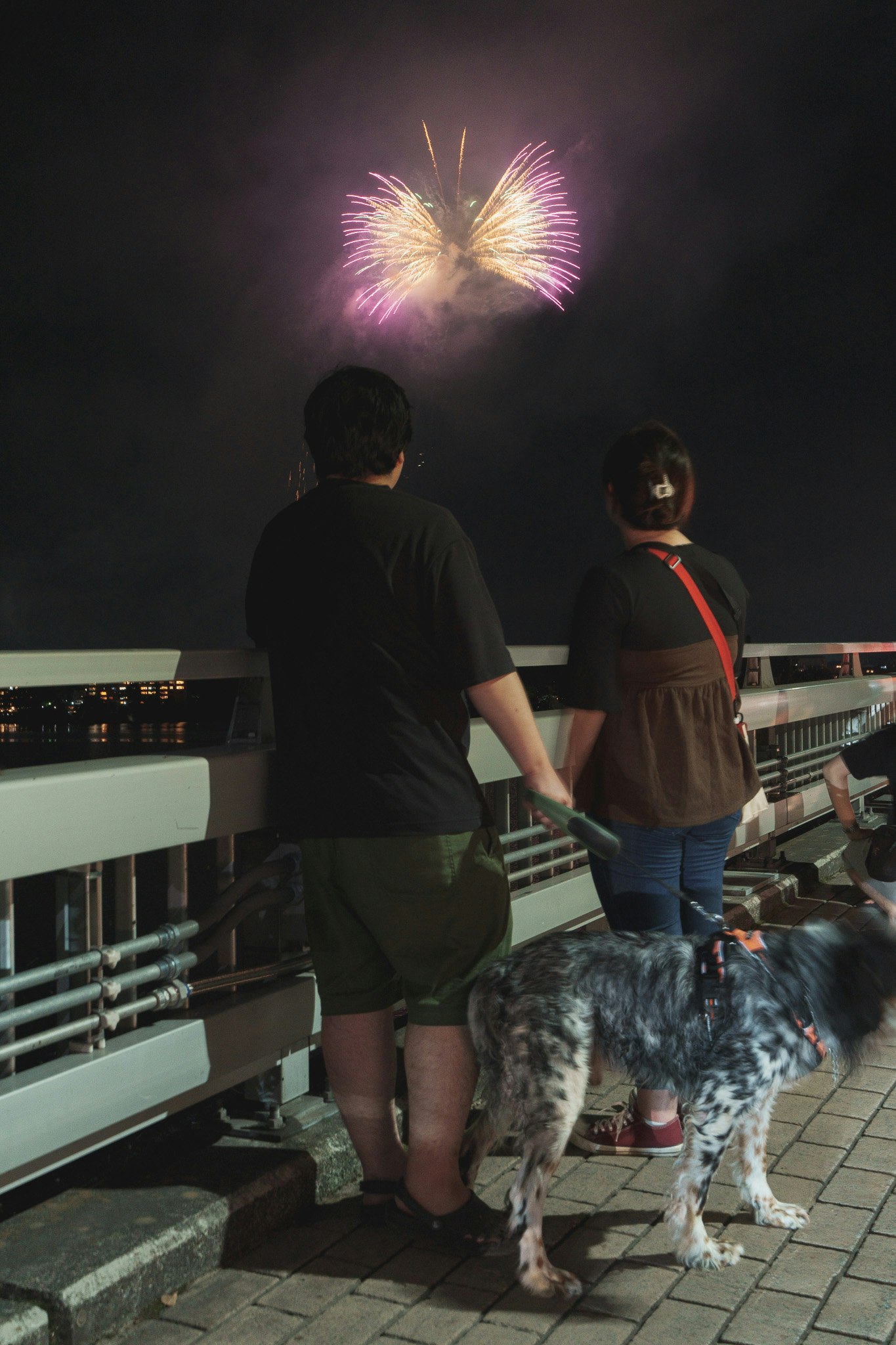 夜の屋上で花火を見上げる親子と犬