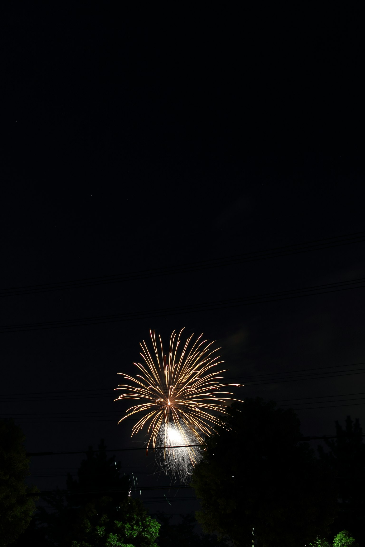 Momento bellissimo di fuochi d'artificio che fioriscono nel cielo notturno