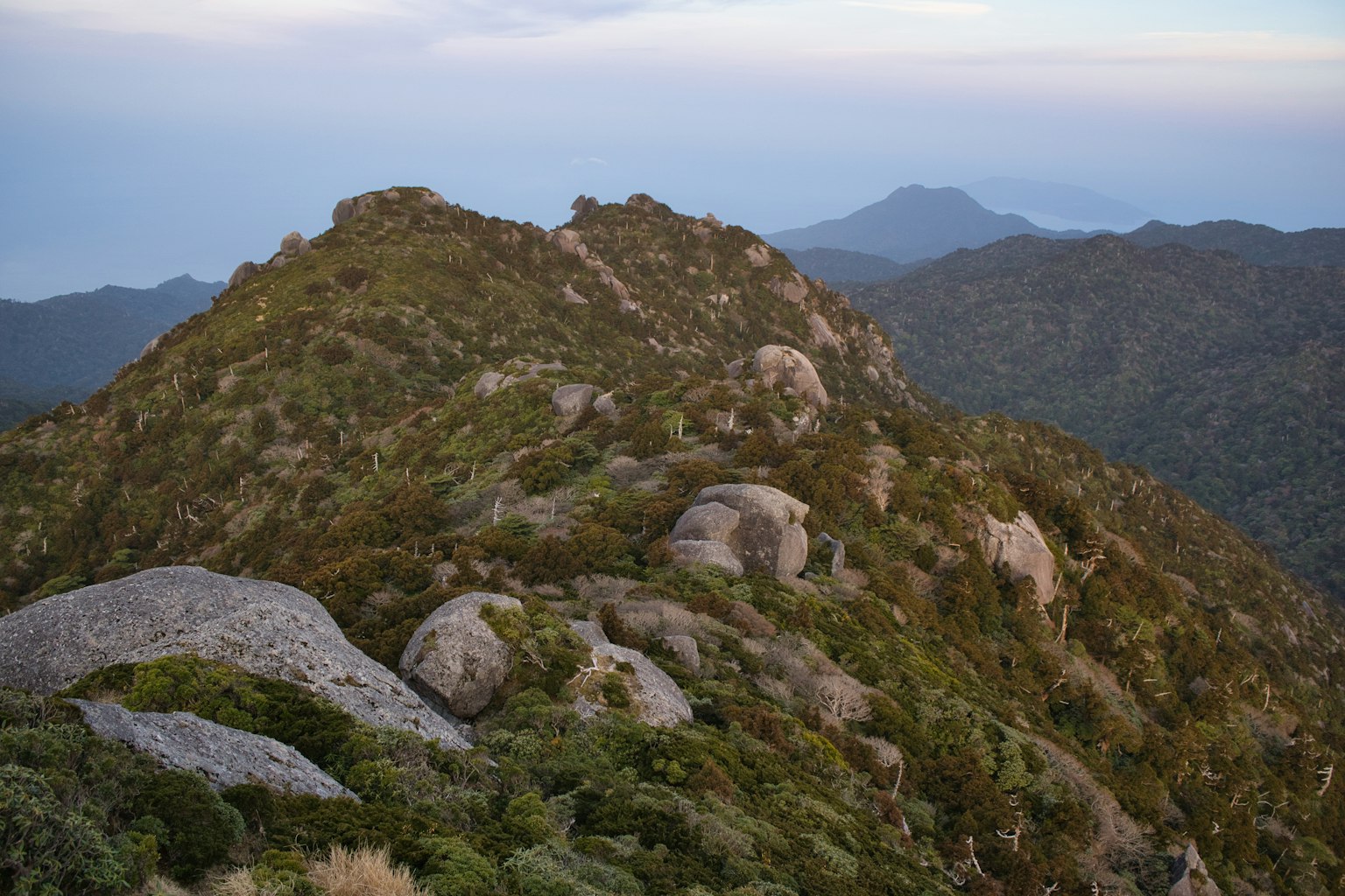 郁郁葱葱的山脉和岩石形成的美景