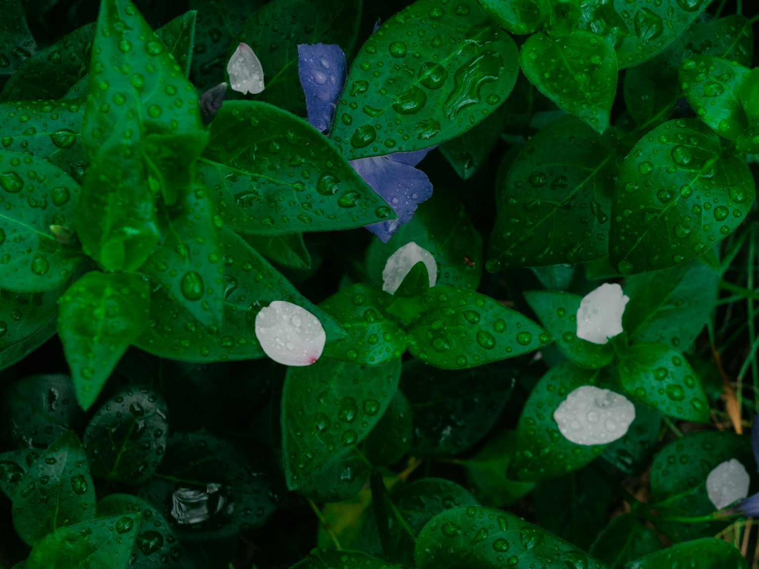photo-xlfE4C6wY8o0KZQBljC4-image