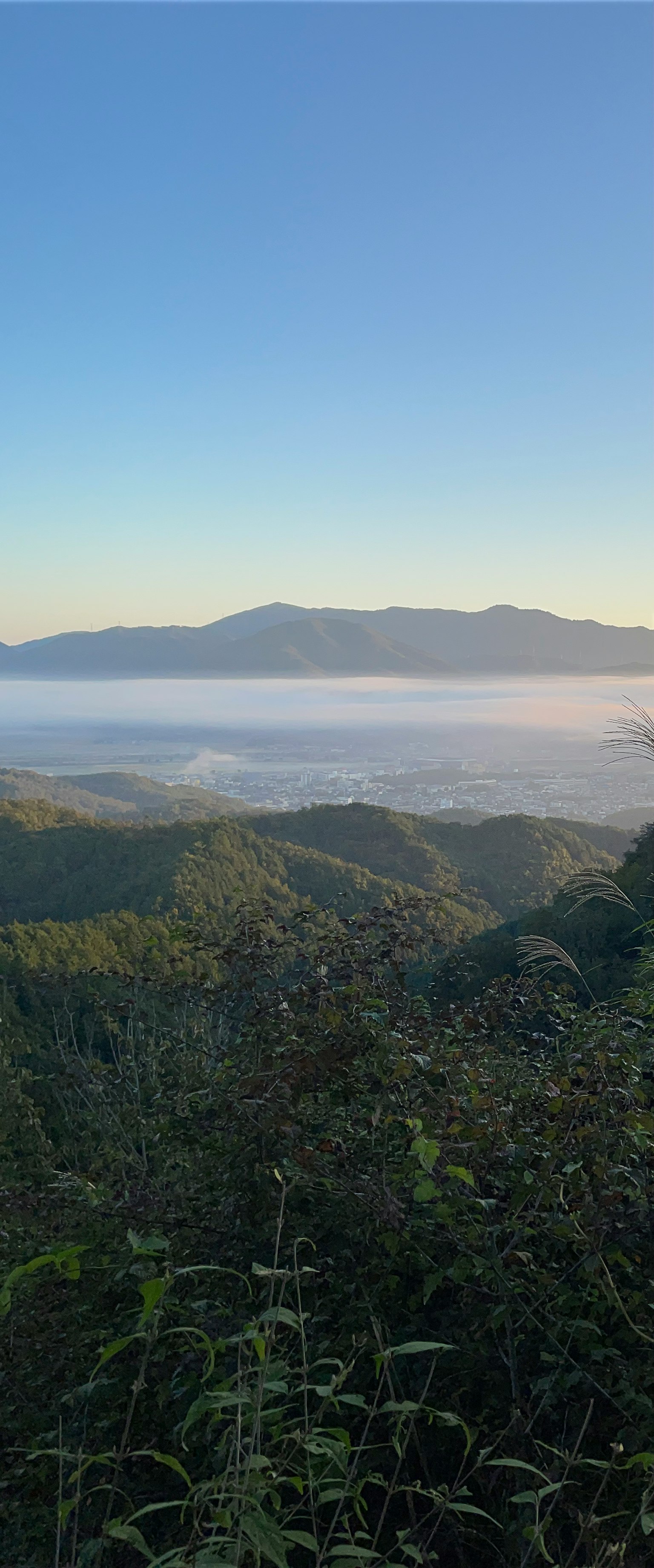 山脈和被霧籠罩的谷地的美麗景色