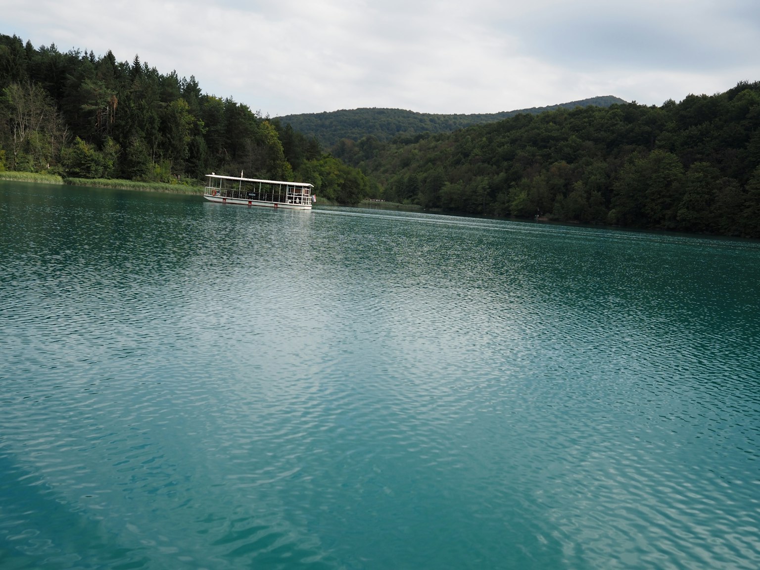 Calm lake surrounded by green forest with a boat dock