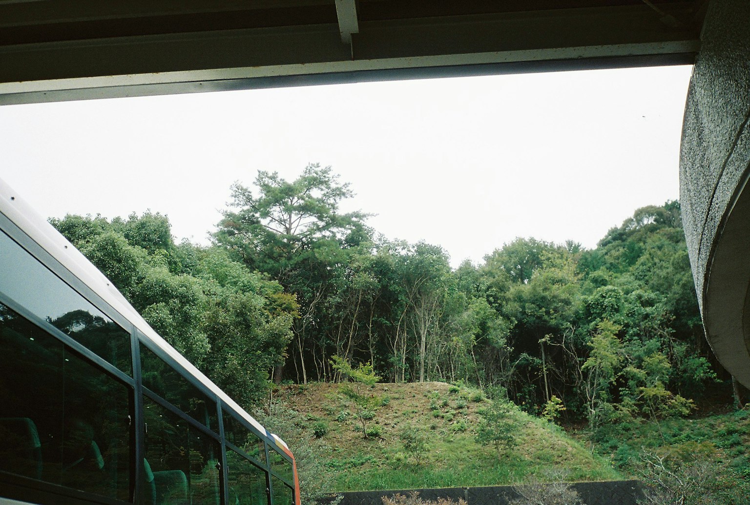 バスの側面と緑豊かな木々が見える風景