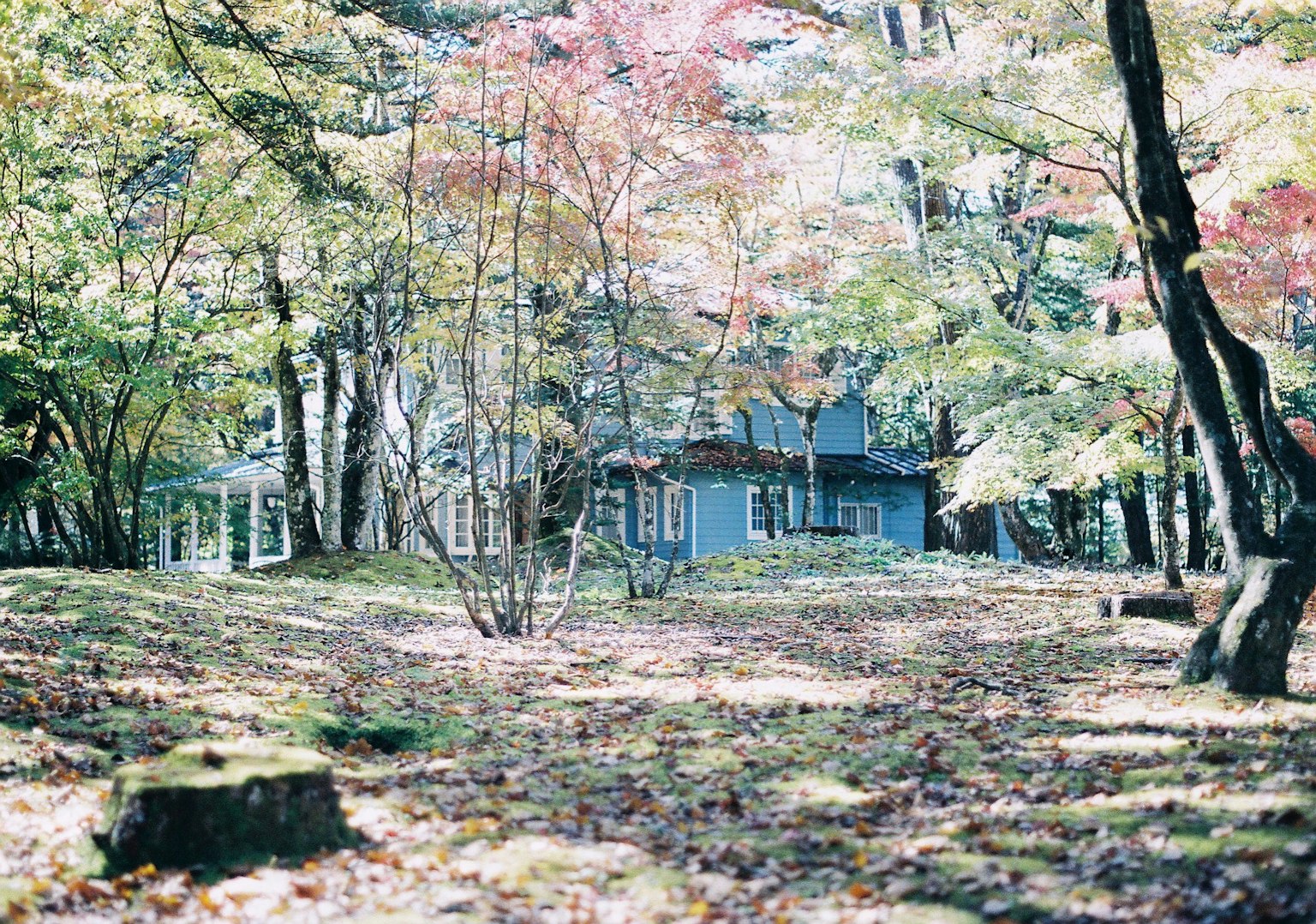 Un paysage forestier serein avec une maison bleue et des arbres colorés