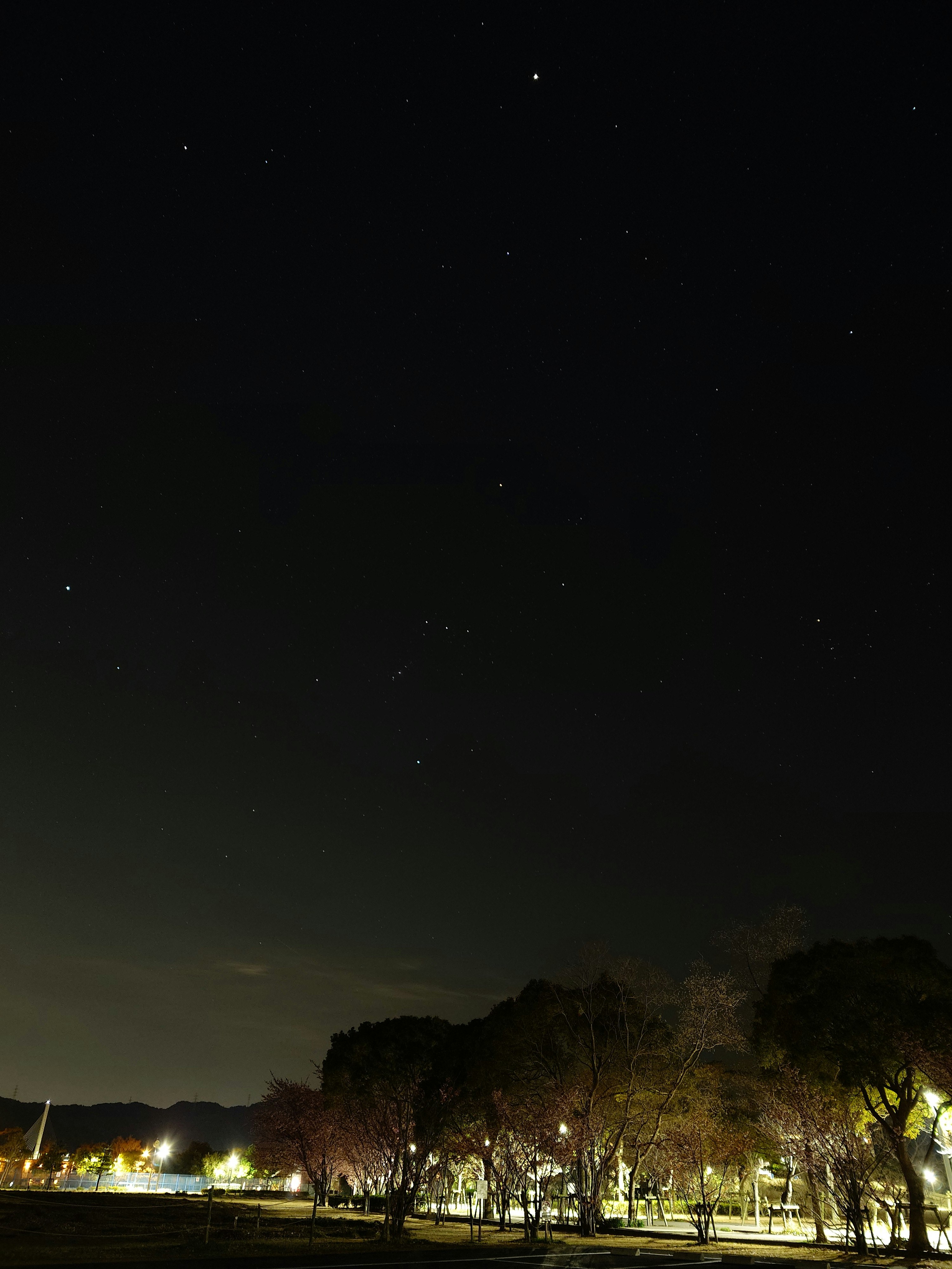 夜空に星が瞬く公園の並木と街灯