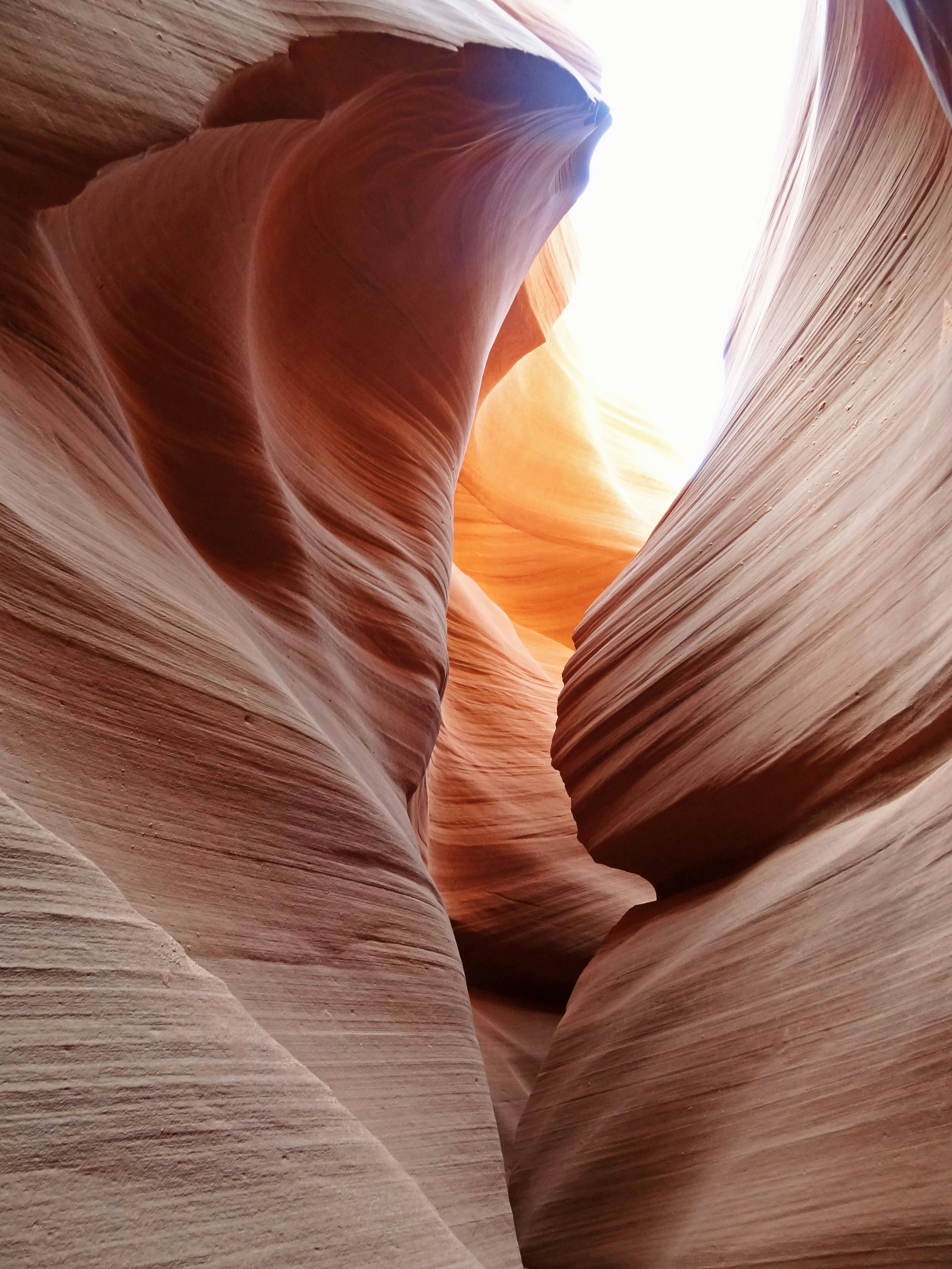 sunlit sandstone layers wedged in a canyon