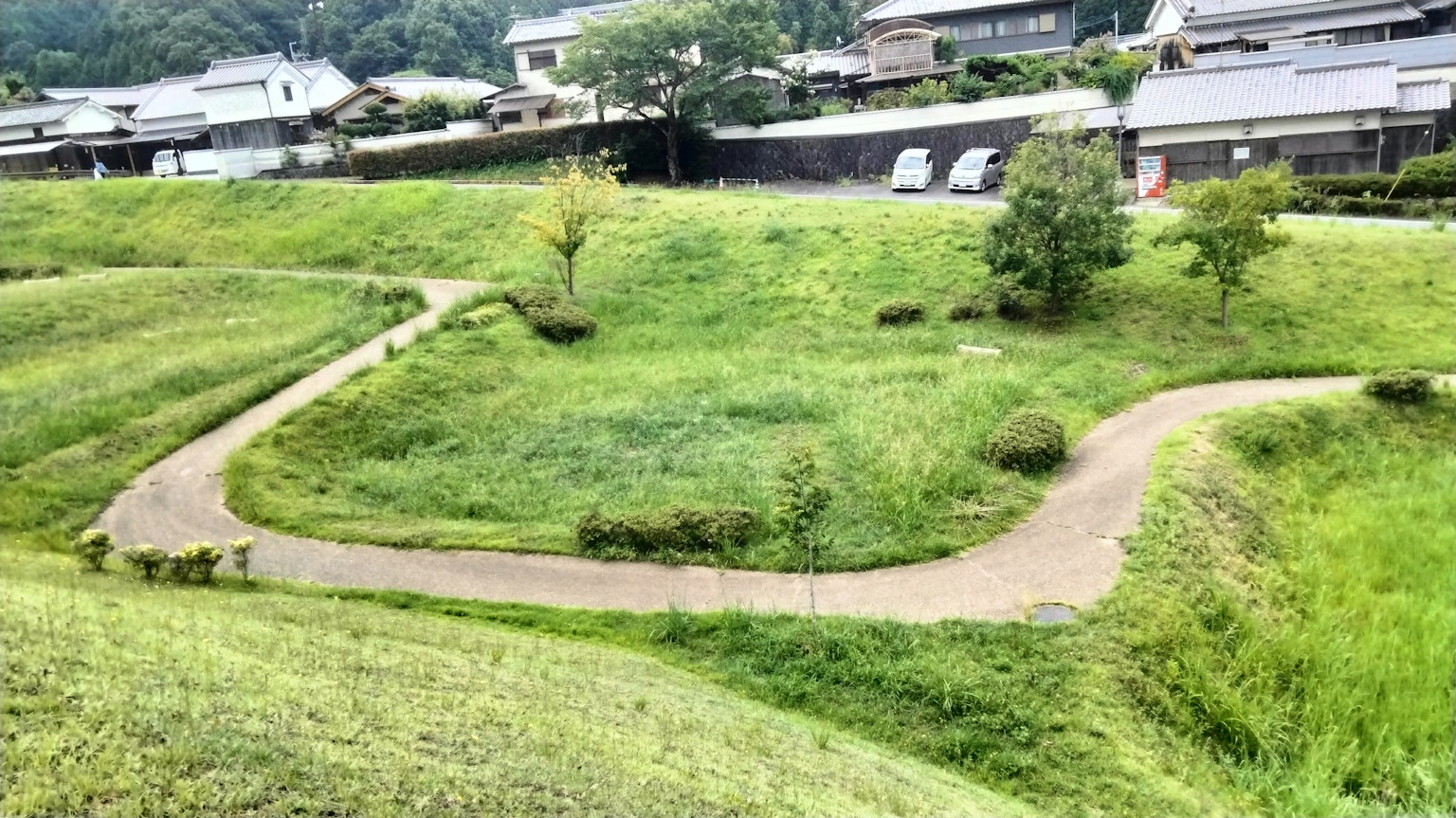 郁郁蔥蔥的景觀，有蜿蜒的小路和周圍的房屋
