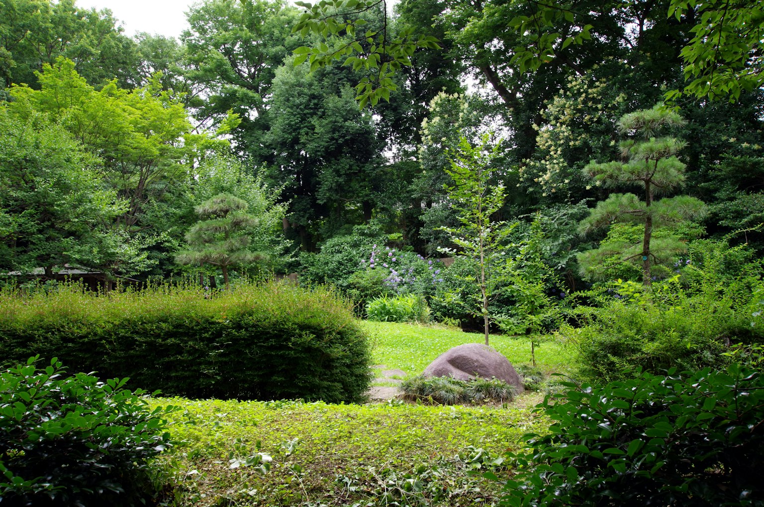 Üppige Gartenlandschaft mit einem großen Stein und niedrigen Sträuchern