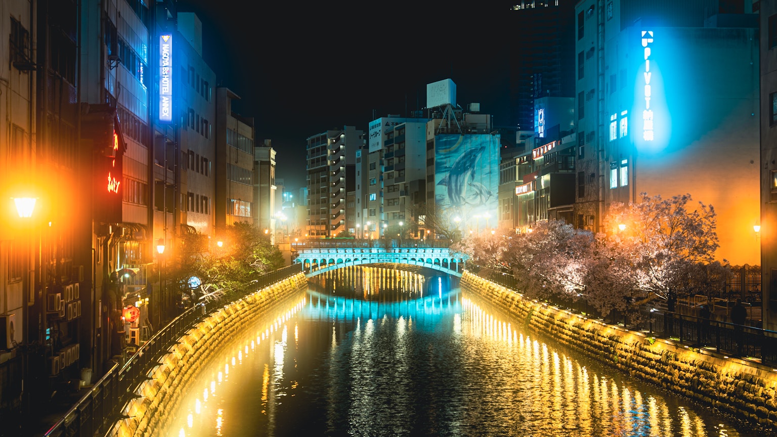 夜间城市风景，河边的发光桥和樱花