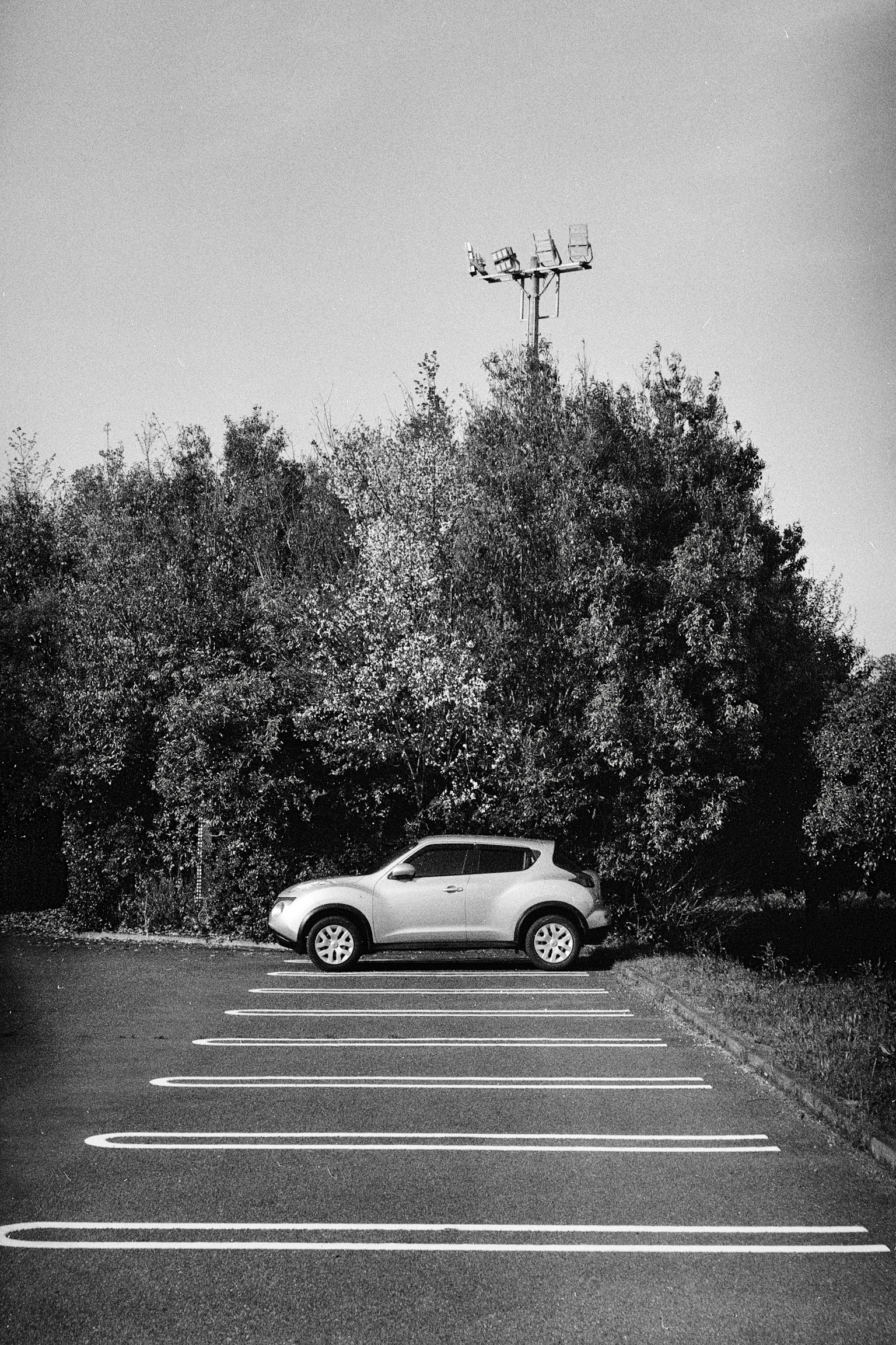 photo-xovbHNm40C1jgbHTlsBE-image