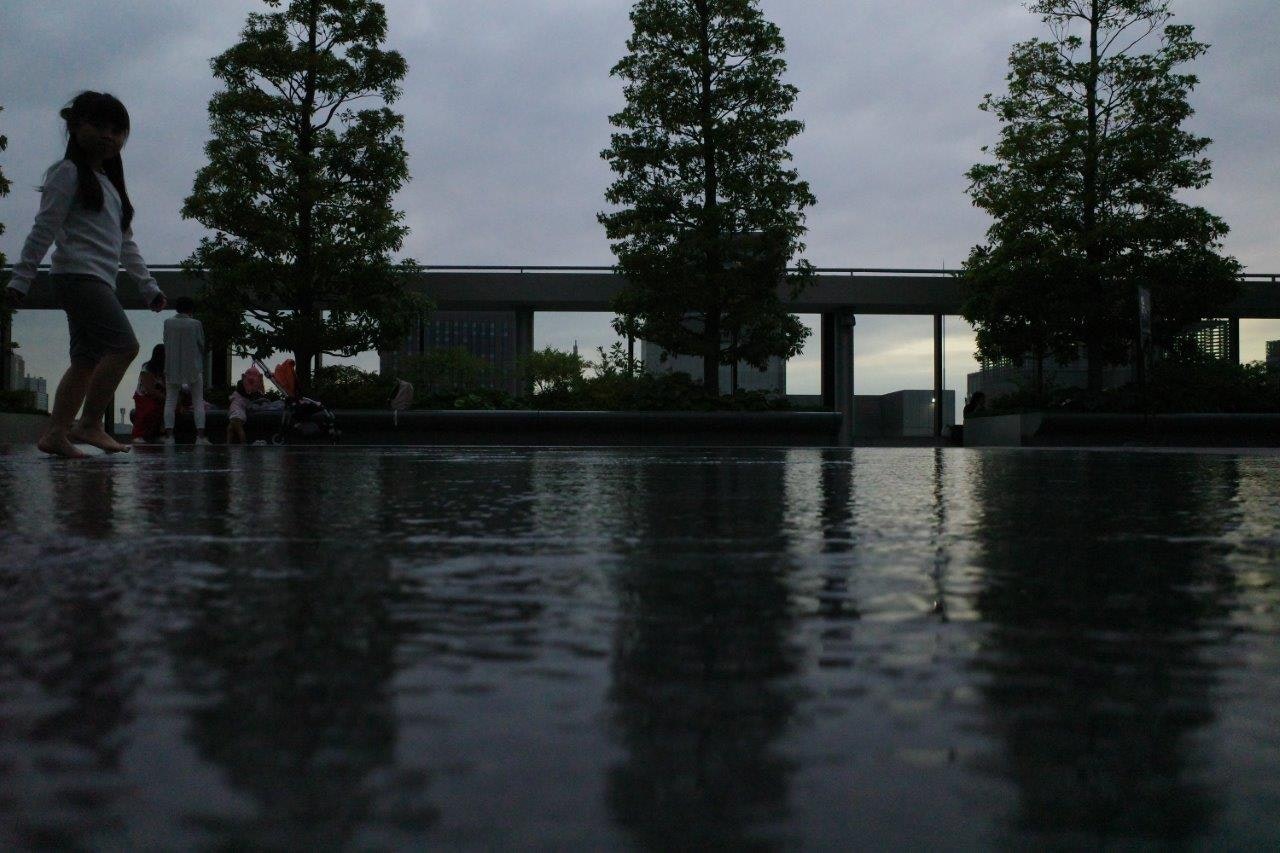 Plan d’une piscine extérieure avec la surface de l’eau et des arbres dans une cour