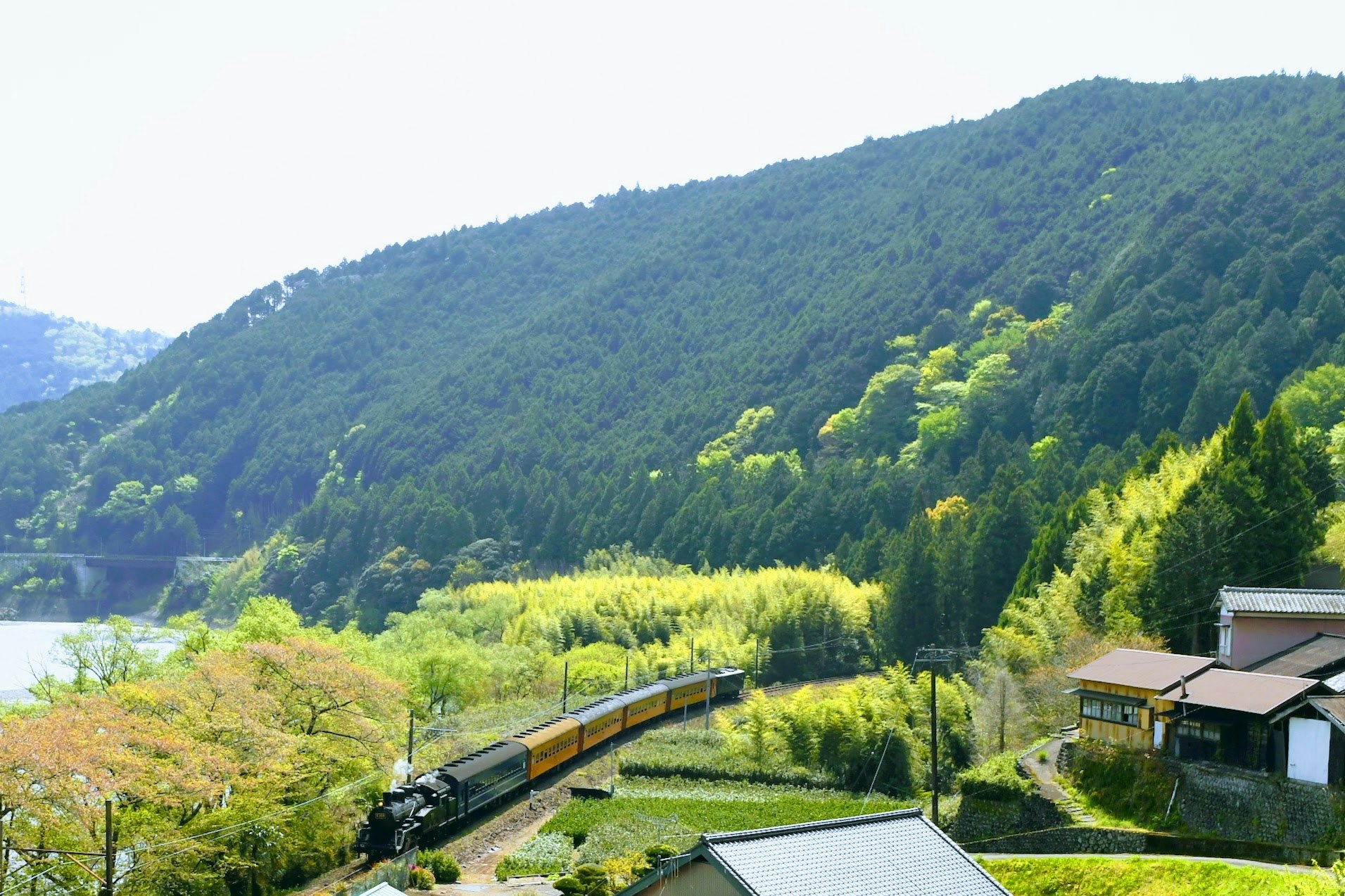 大井川鉄道の列車が山あいの川沿いを走る風景