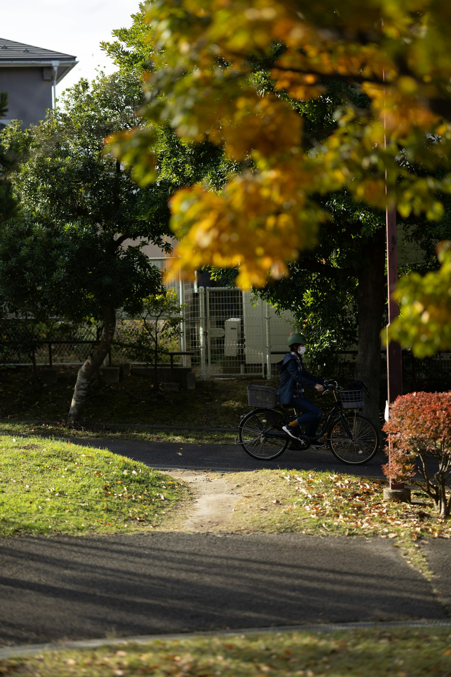 Una bicicleta estacionada en un camino de un parque en otoño