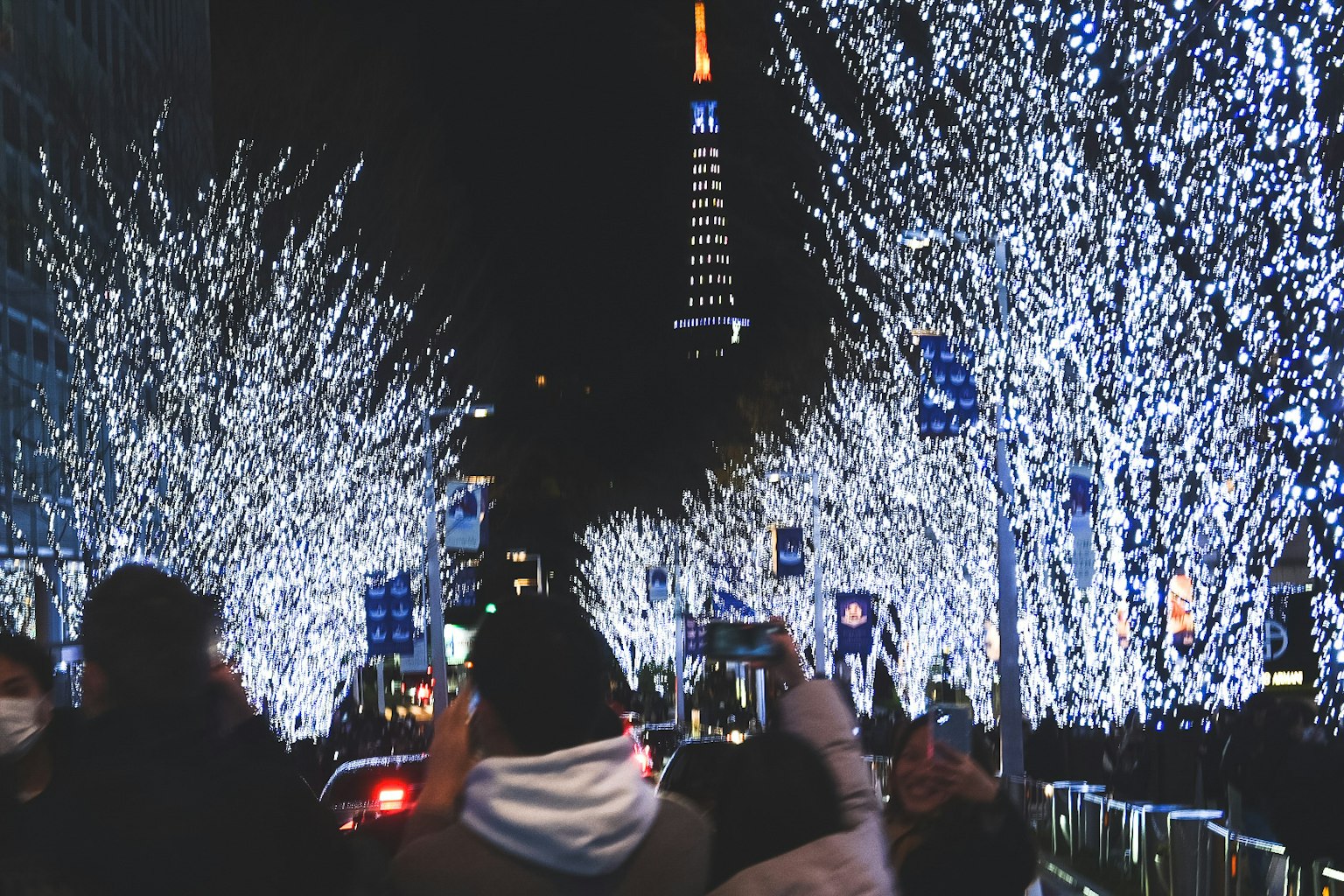 东京塔和装饰灯光的树木的夜景