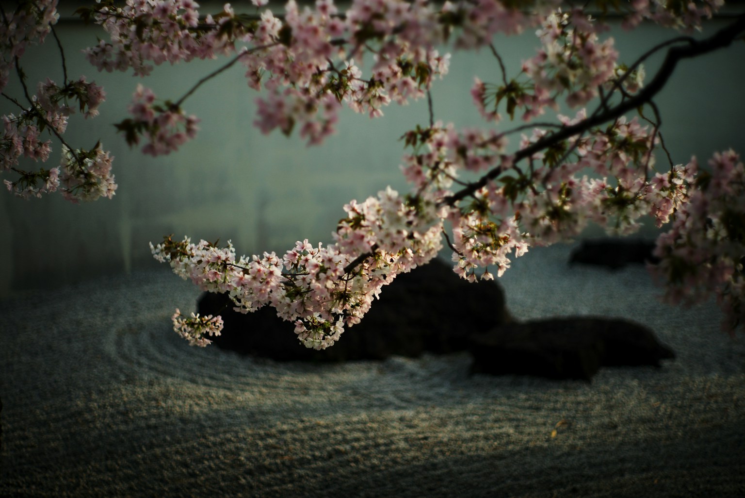 photo-xsa9mF1sHchE2LNUuEtl-image