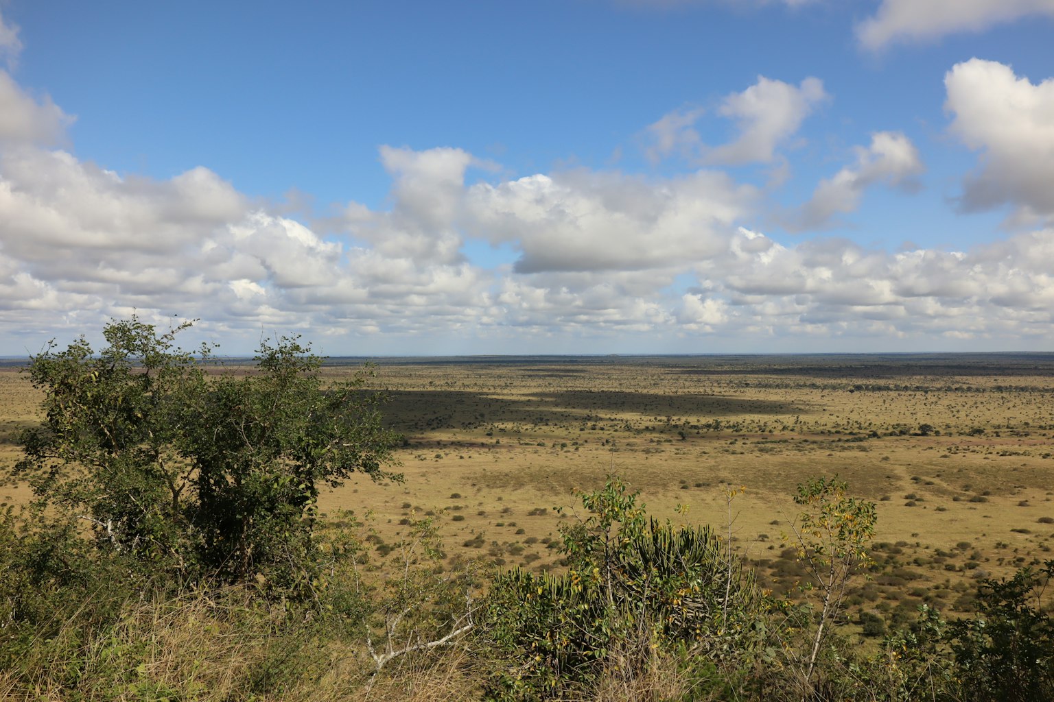 Weite Graslandschaft mit klarem blauen Himmel