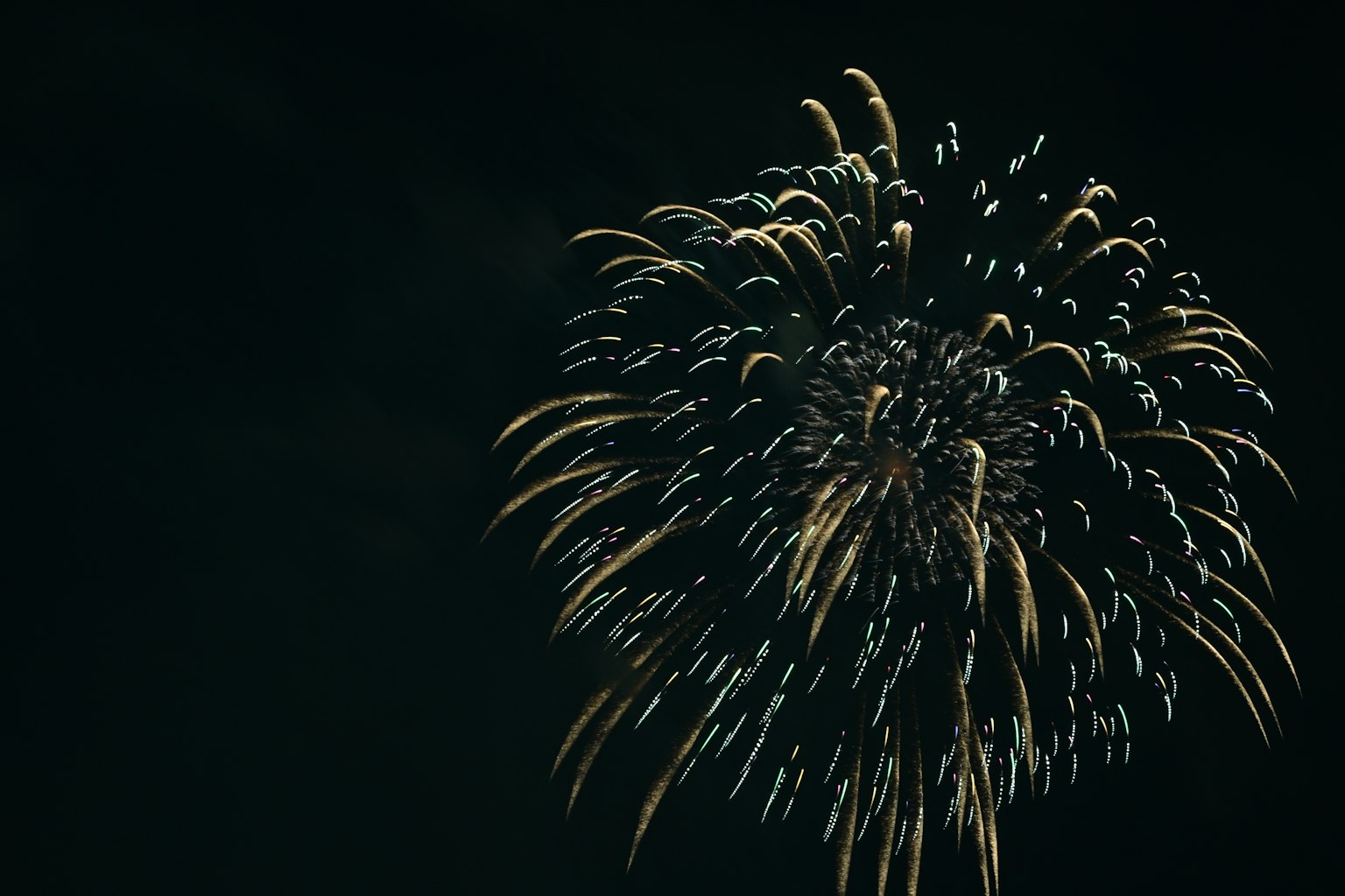 Beau motif de feux d'artifice dans le ciel nocturne