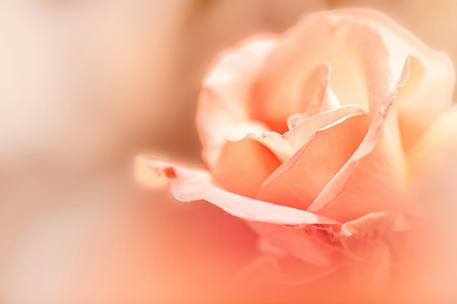 photo-xtT4OwyNpNUAHTYSb8nq-image