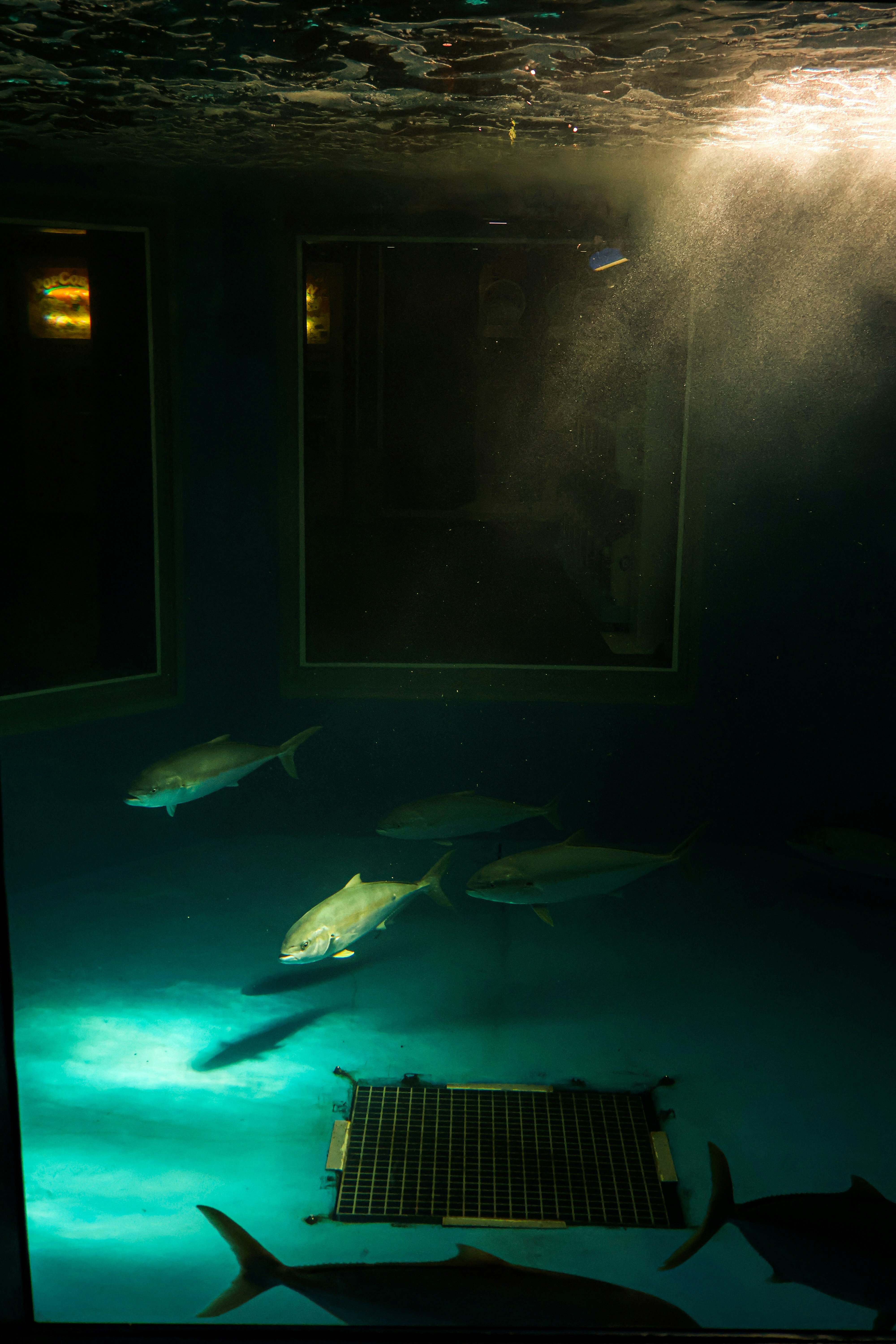 水中で泳ぐ魚と沈んだ設備のある暗い海中の風景