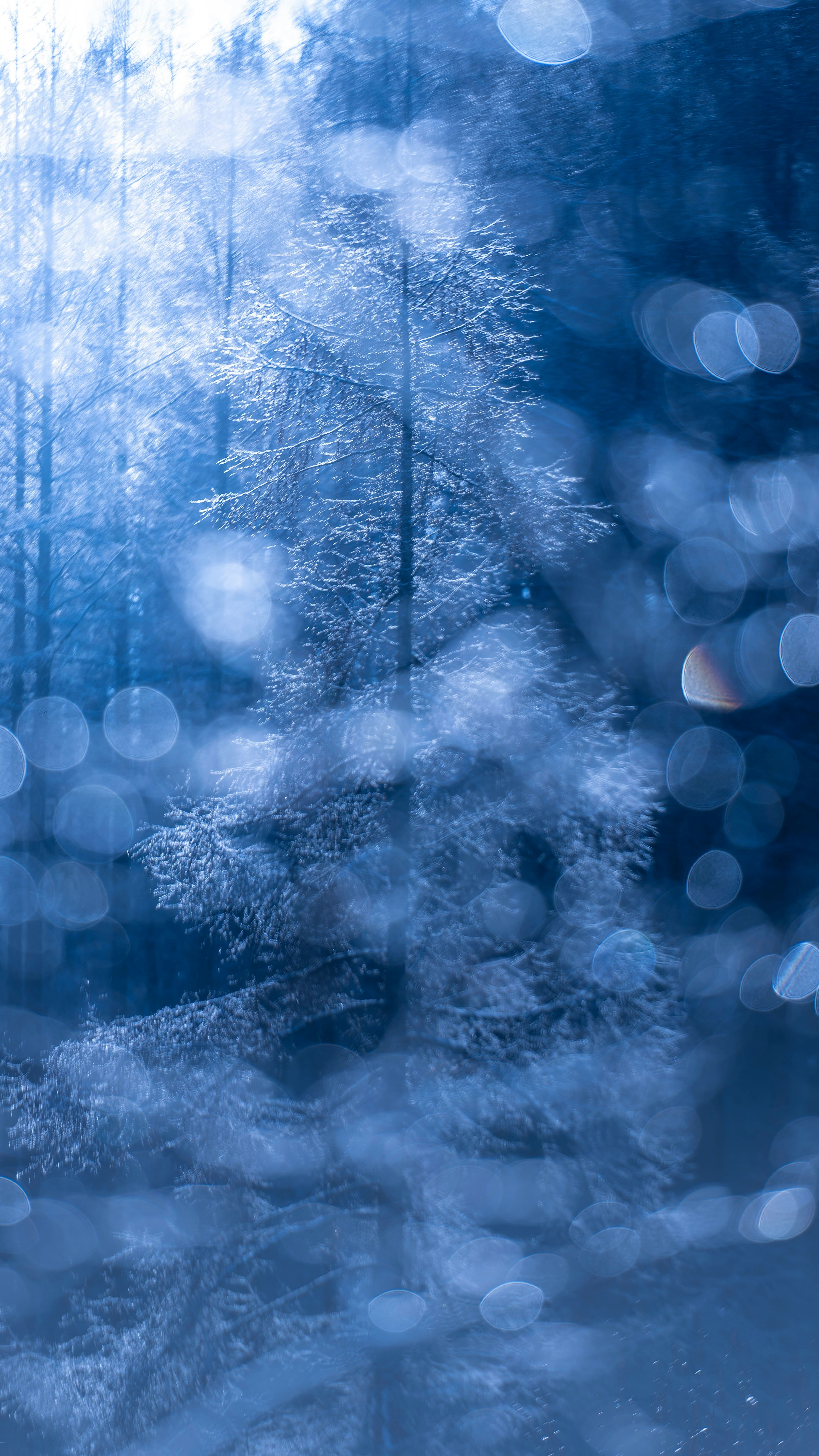 blue misty forest path with morning sunlight and melting snowmelt water