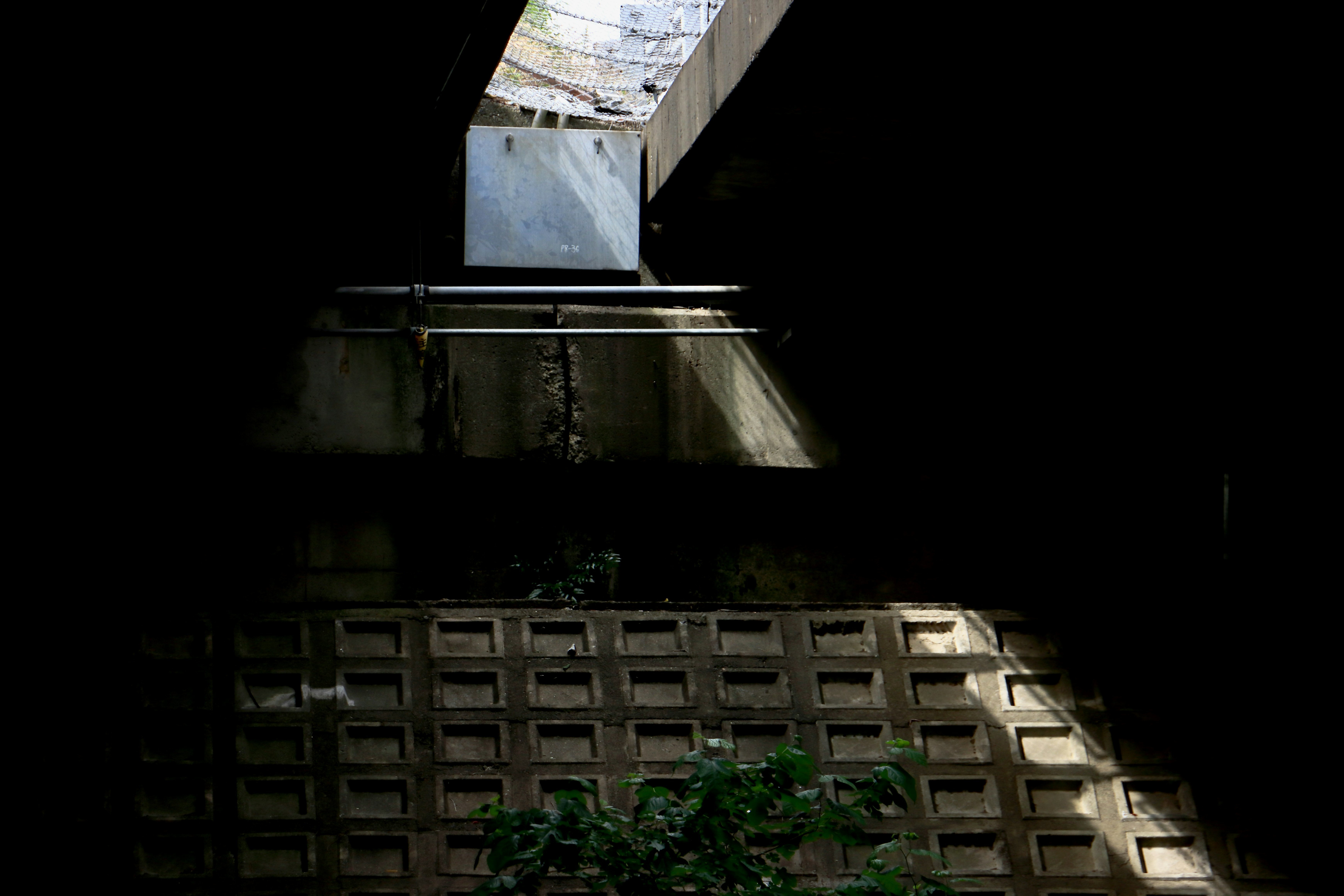 photo-xtk3NeN5Q6u7rvcbfDfg-image
