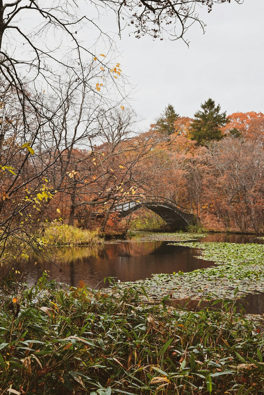 池のほとりに映る紅葉と石橋のある秋の風景