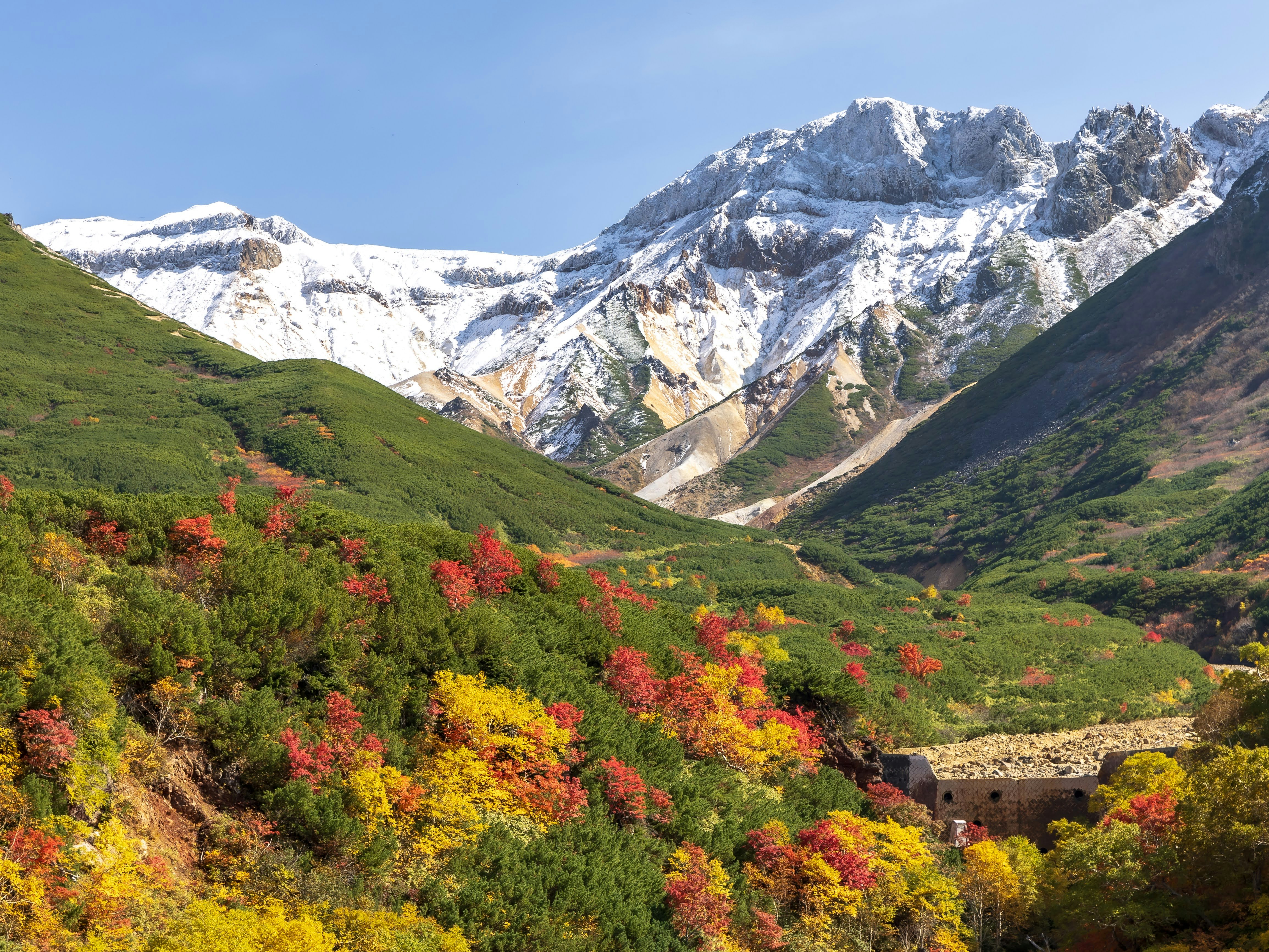 十勝岳の雪を抱く山並みと紅葉の渓谷