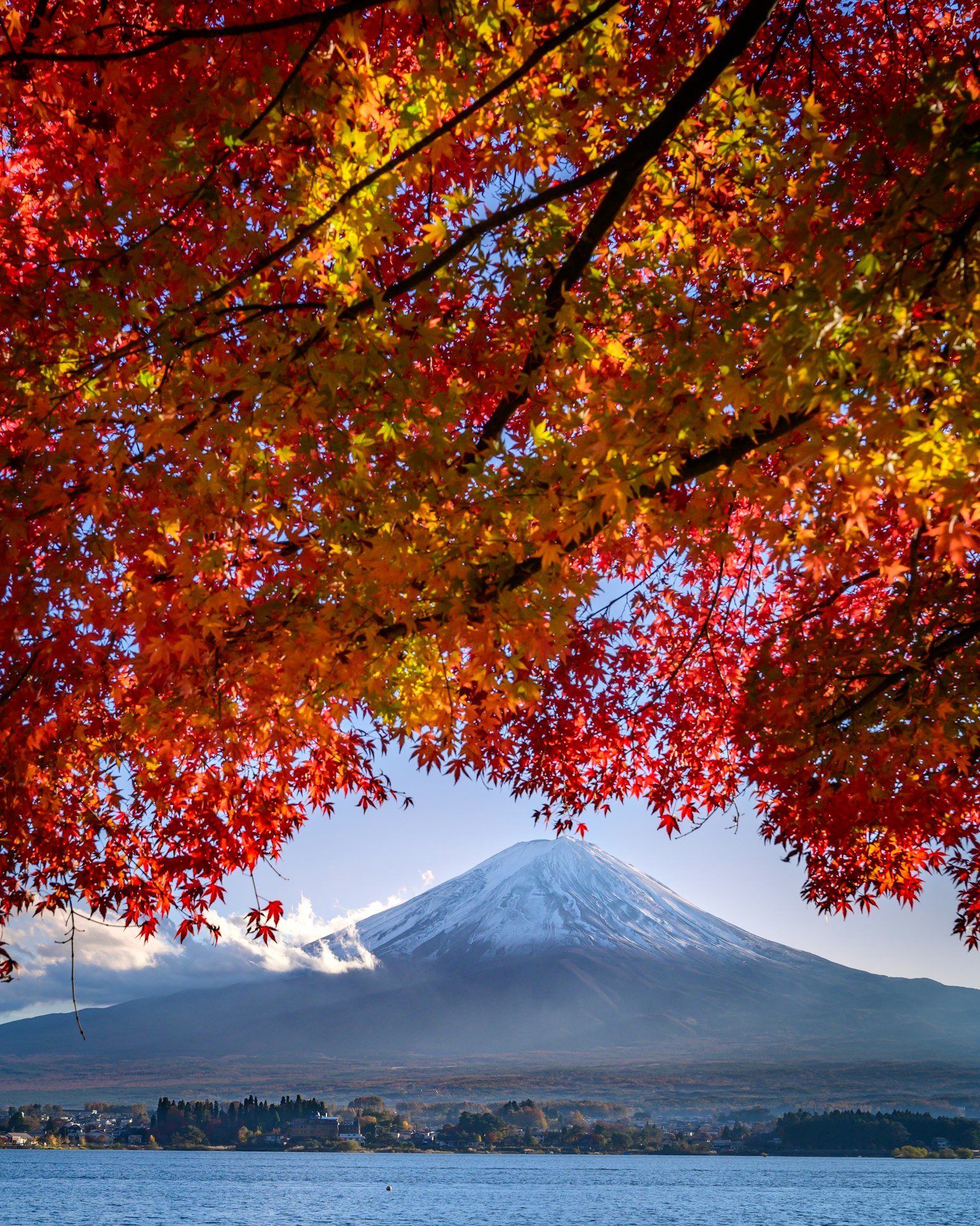 Schöne Aussicht auf den Fuji, umrahmt von Herbstblättern