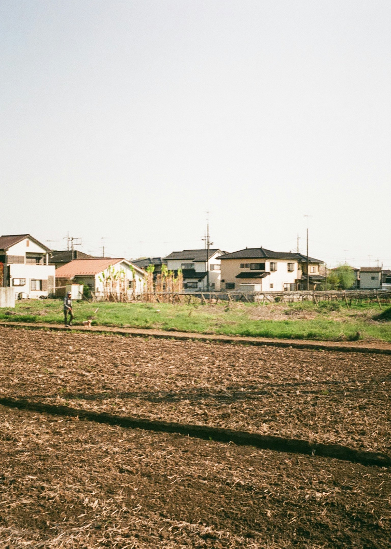 Malersicher Blick auf Wohnhäuser neben einem bewirtschafteten Feld
