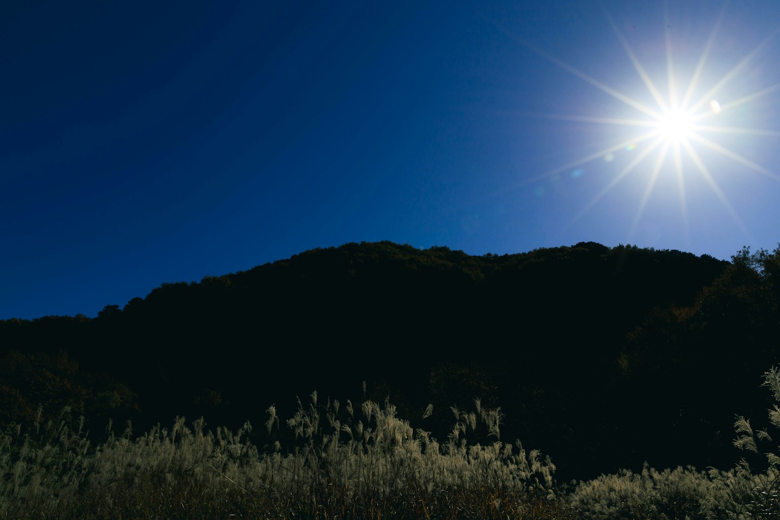 Silhouette di una montagna contro un cielo blu con un sole splendente e un primo piano erboso