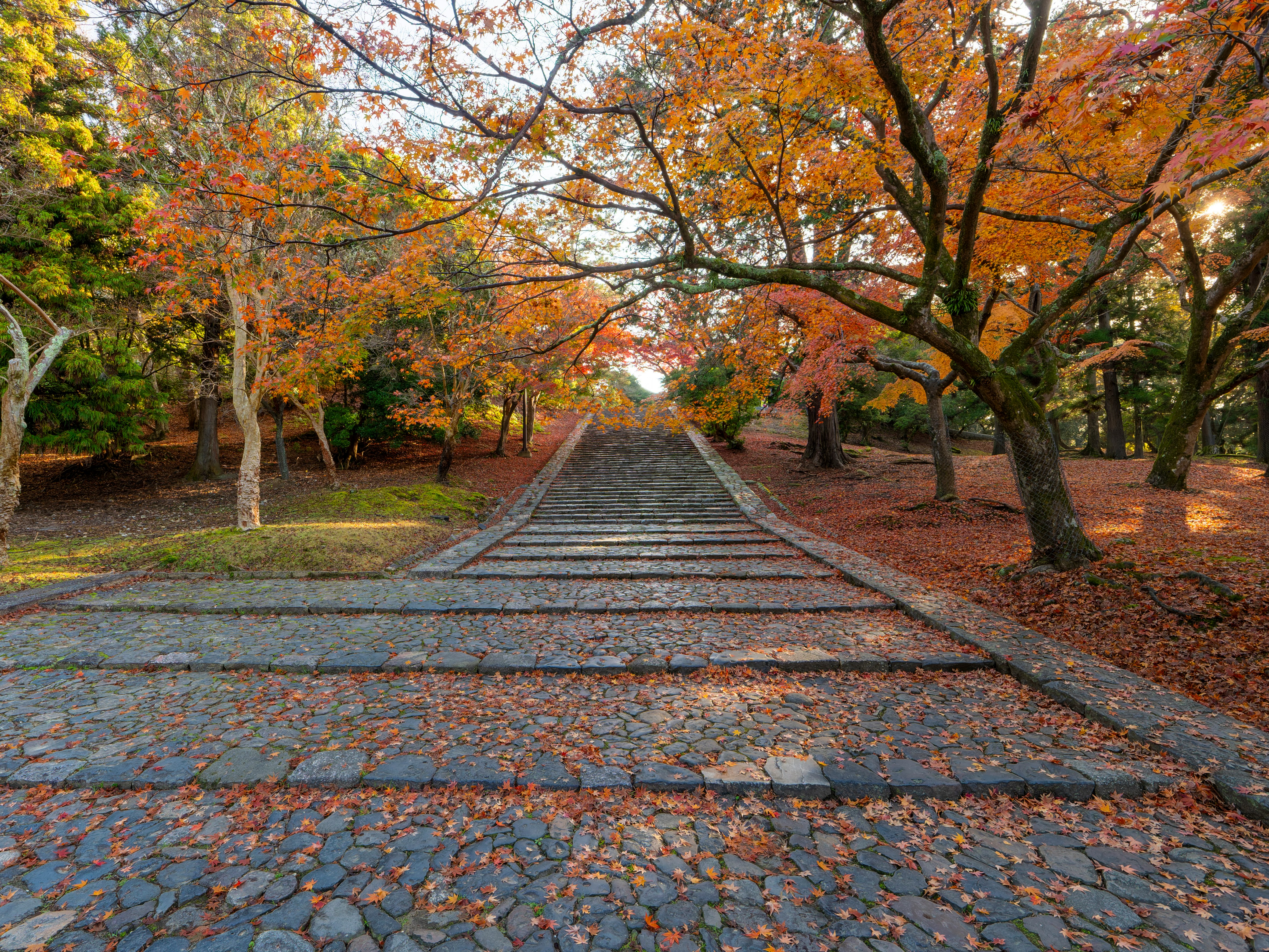 東大寺の猫段の紅葉が続く石段の秋景色