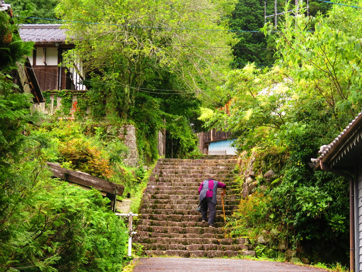 photo-xvyhSEtq7CcKUyvhklXt-image