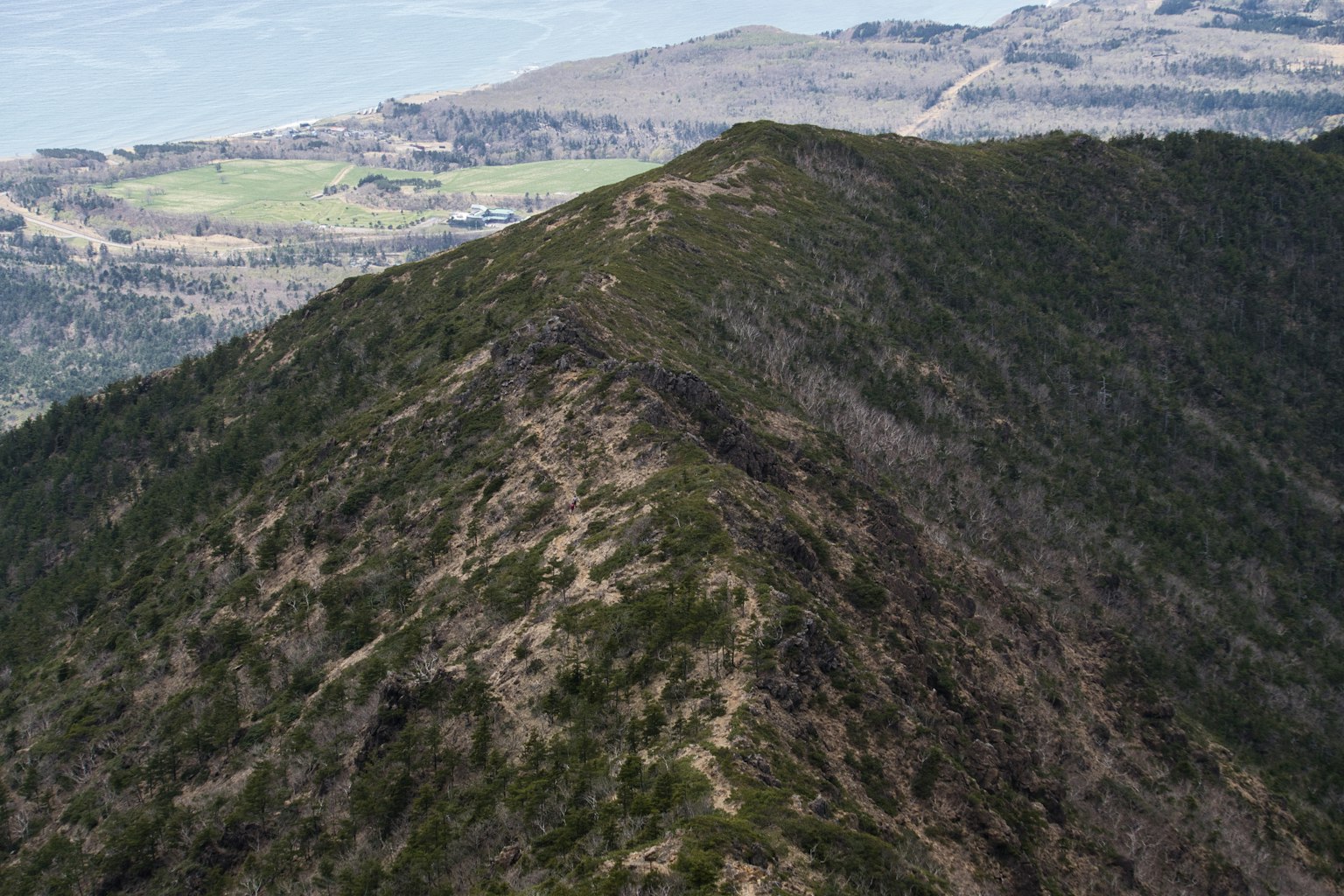 Mountain ridge with green vegetation and landscape