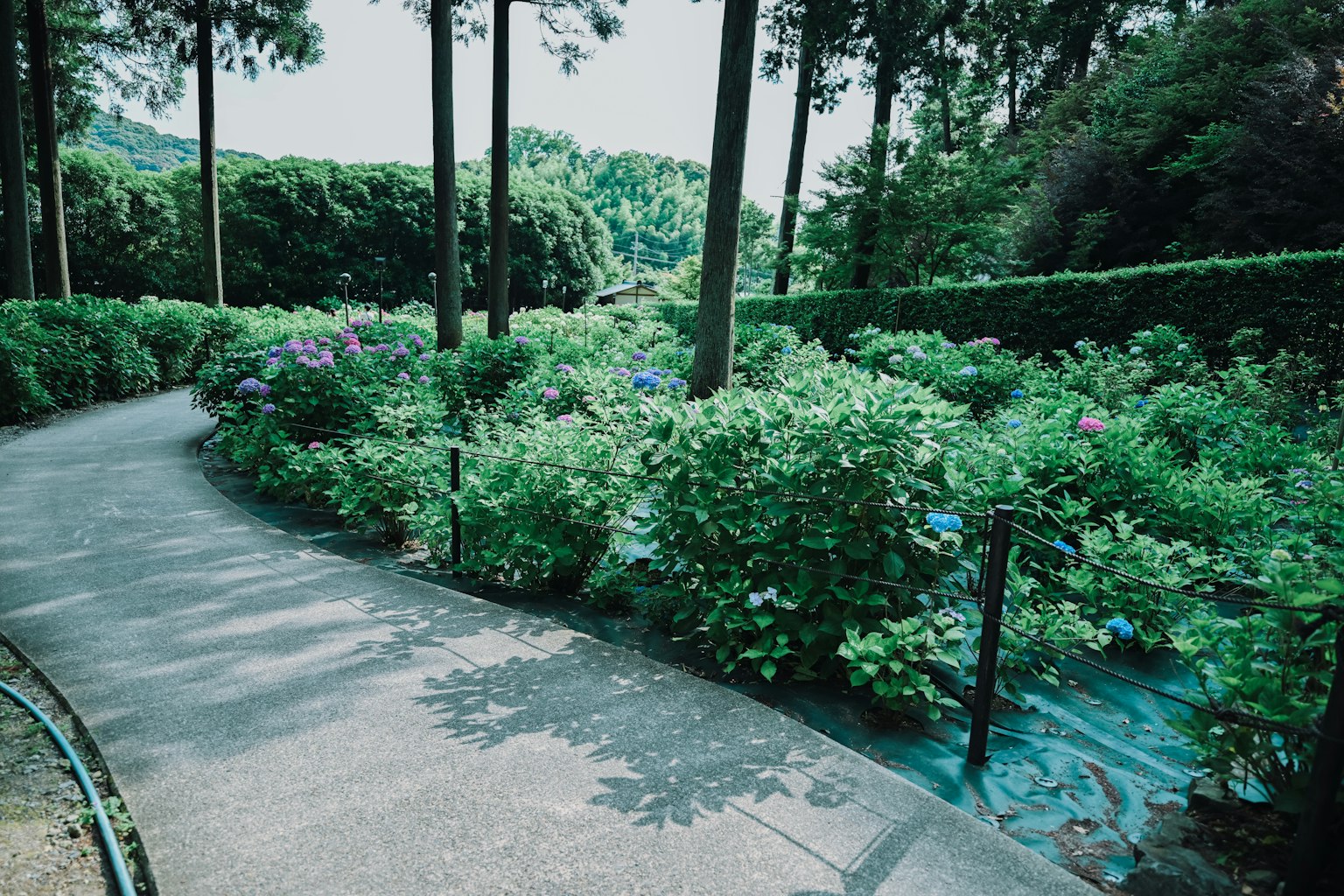 photo-xwDdokvR758qj7GHGc1c-image