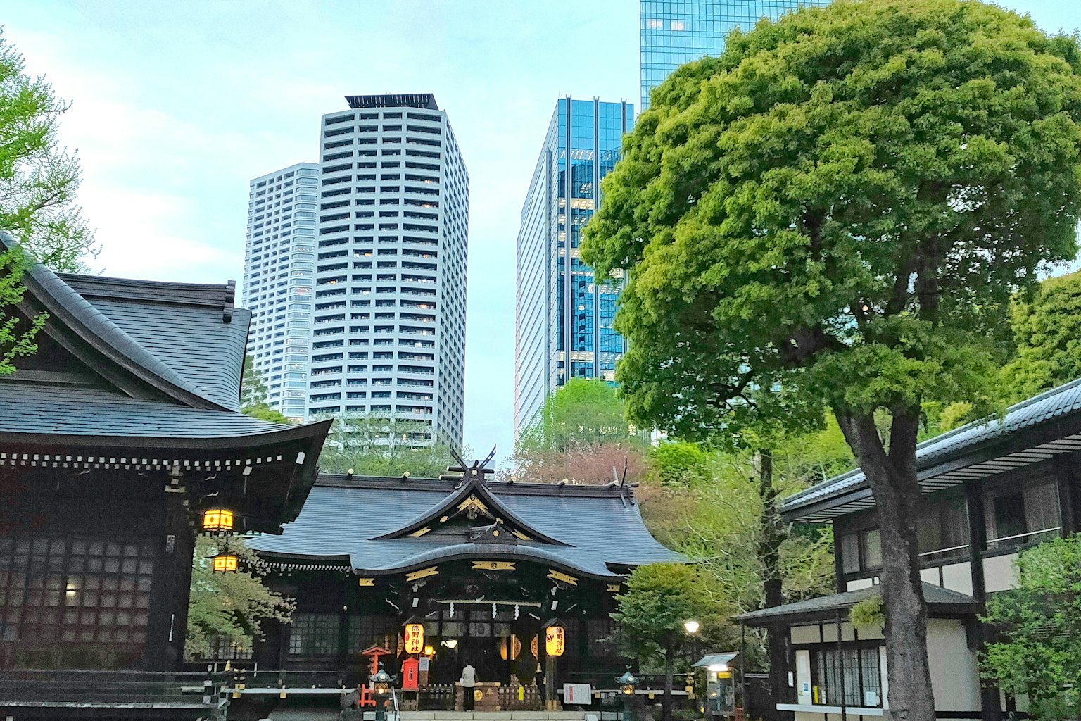 Contrast of a Tokyo shrine and skyscrapers lush greenery and serene atmosphere
