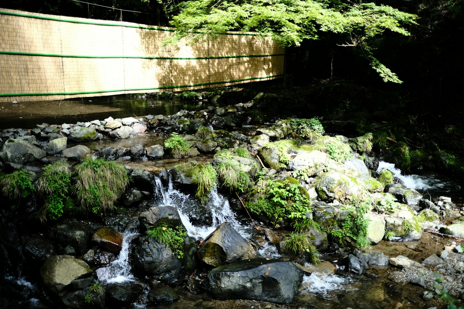 photo-xwZyQZNIpXMCrXx5vft5-image