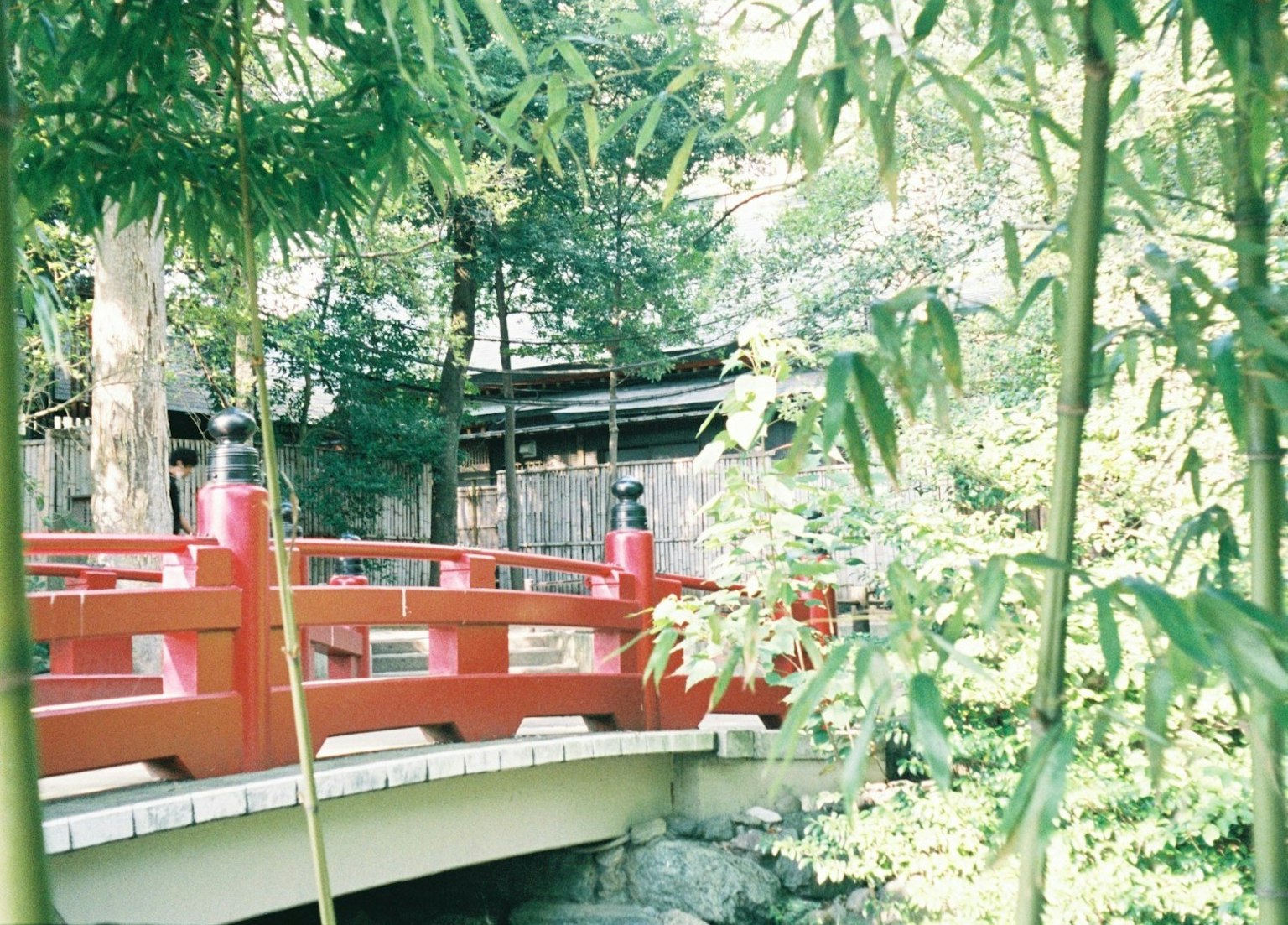 日本風景，紅色橋樑被郁郁蔥蔥的綠色環繞