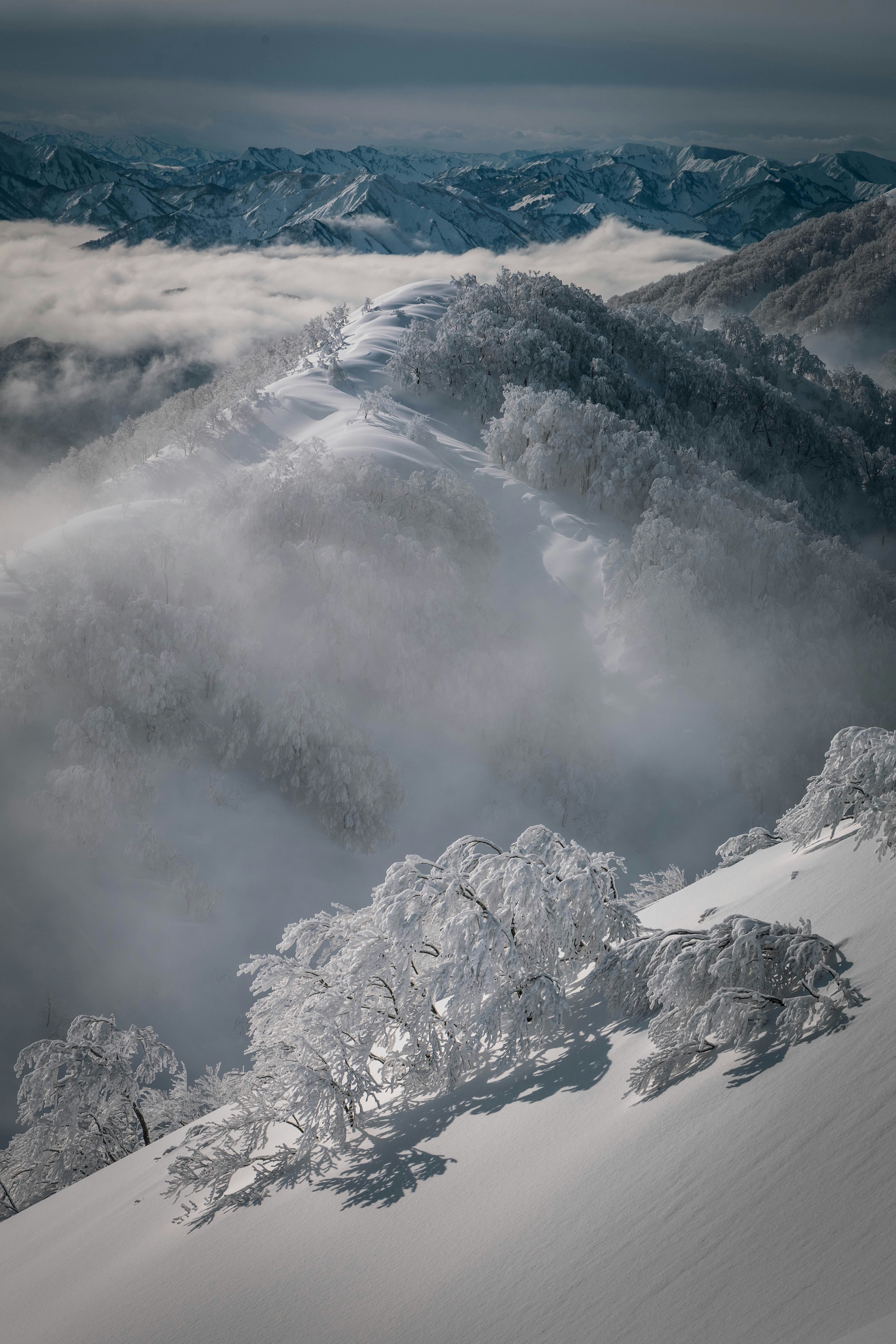 雲海に浮かぶ雪山と稜線のパノラマ