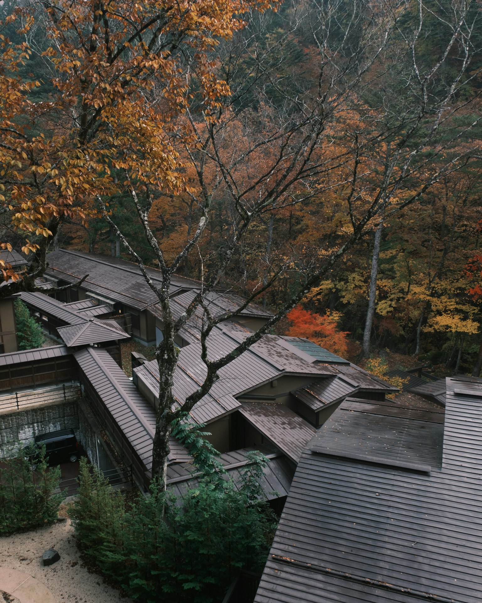 photo-xxEBgyQgVr3HmKYxG2ks-image