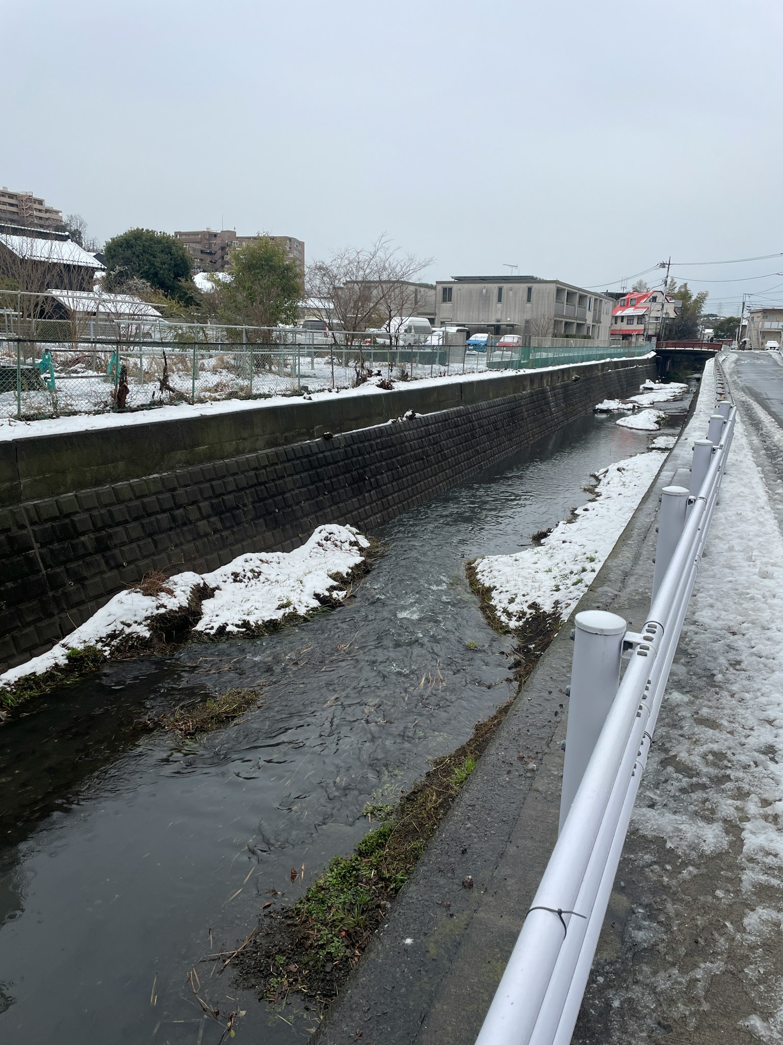 被雪覆盖的河流和周围的雪景