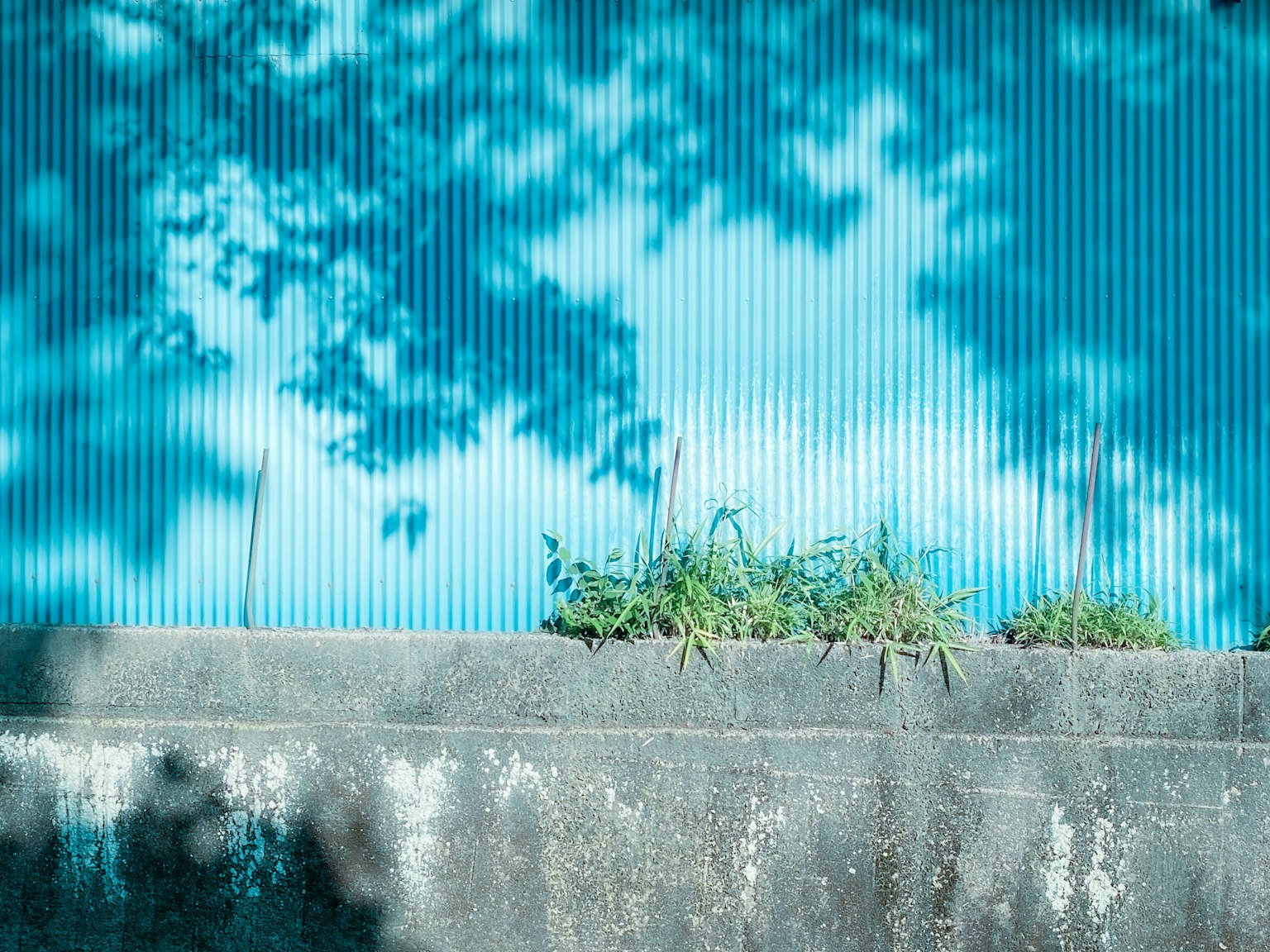 Sombras en una pared azul corrugada con hierba verde en la parte inferior