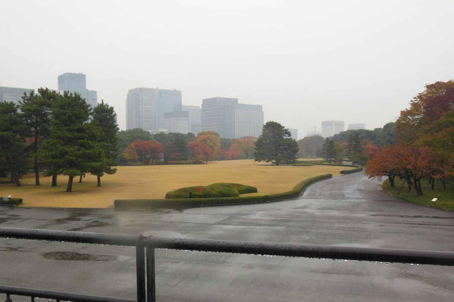 วิวสวนในวันที่ฝนตกกับเส้นขอบฟ้าของเมืองและต้นไม้ในฤดูใบไม้ร่วง