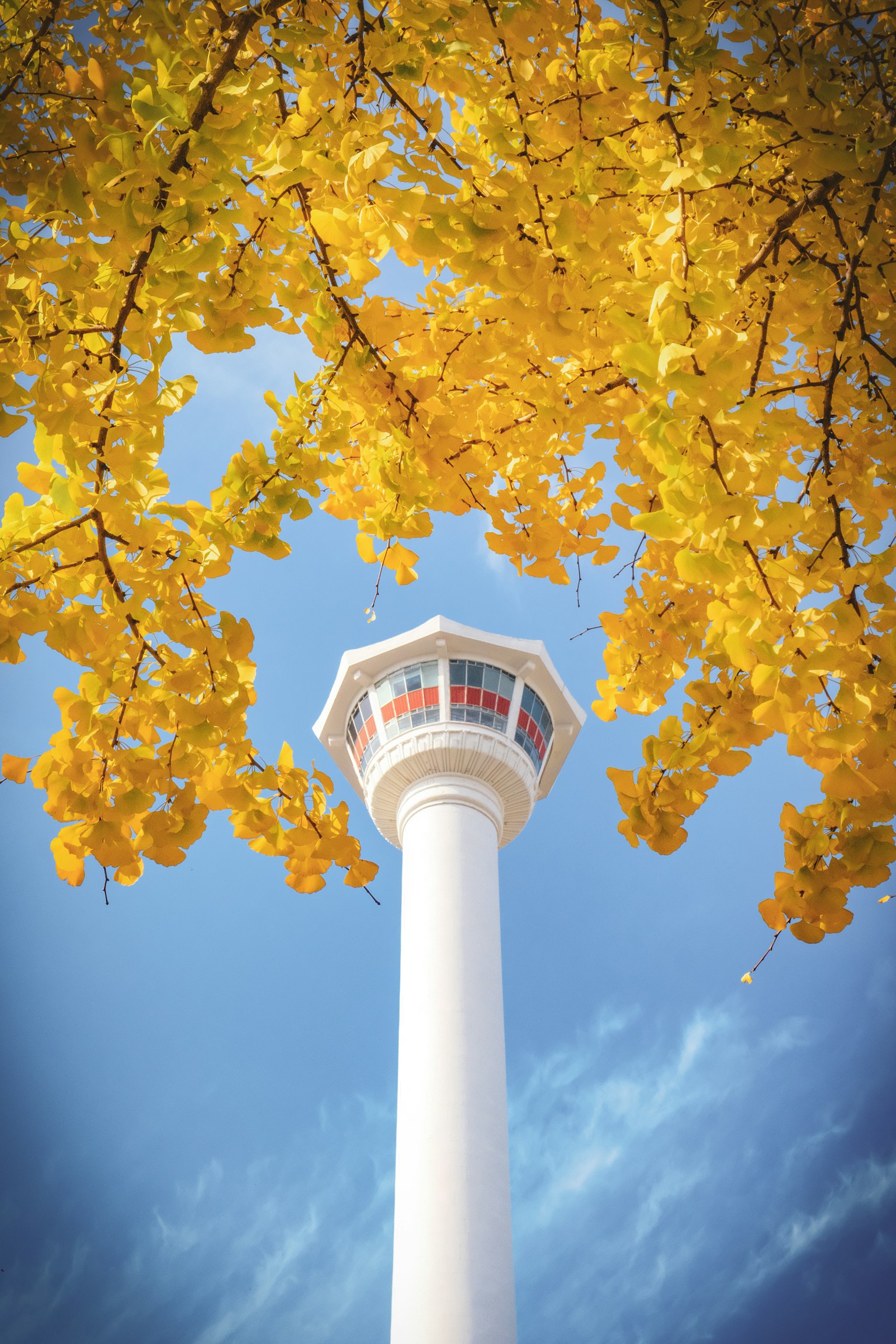 暗い背景にシンプルなデザインのグラフィック