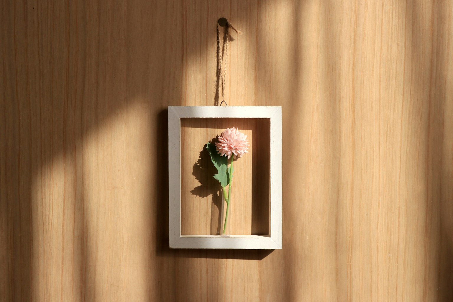 Una cornice bianca appesa al muro con un fiore rosa disposto all'interno