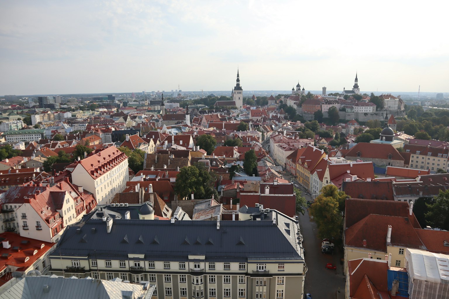 Vista panoramica di Tallinn in Estonia con tetti rossi e edifici storici