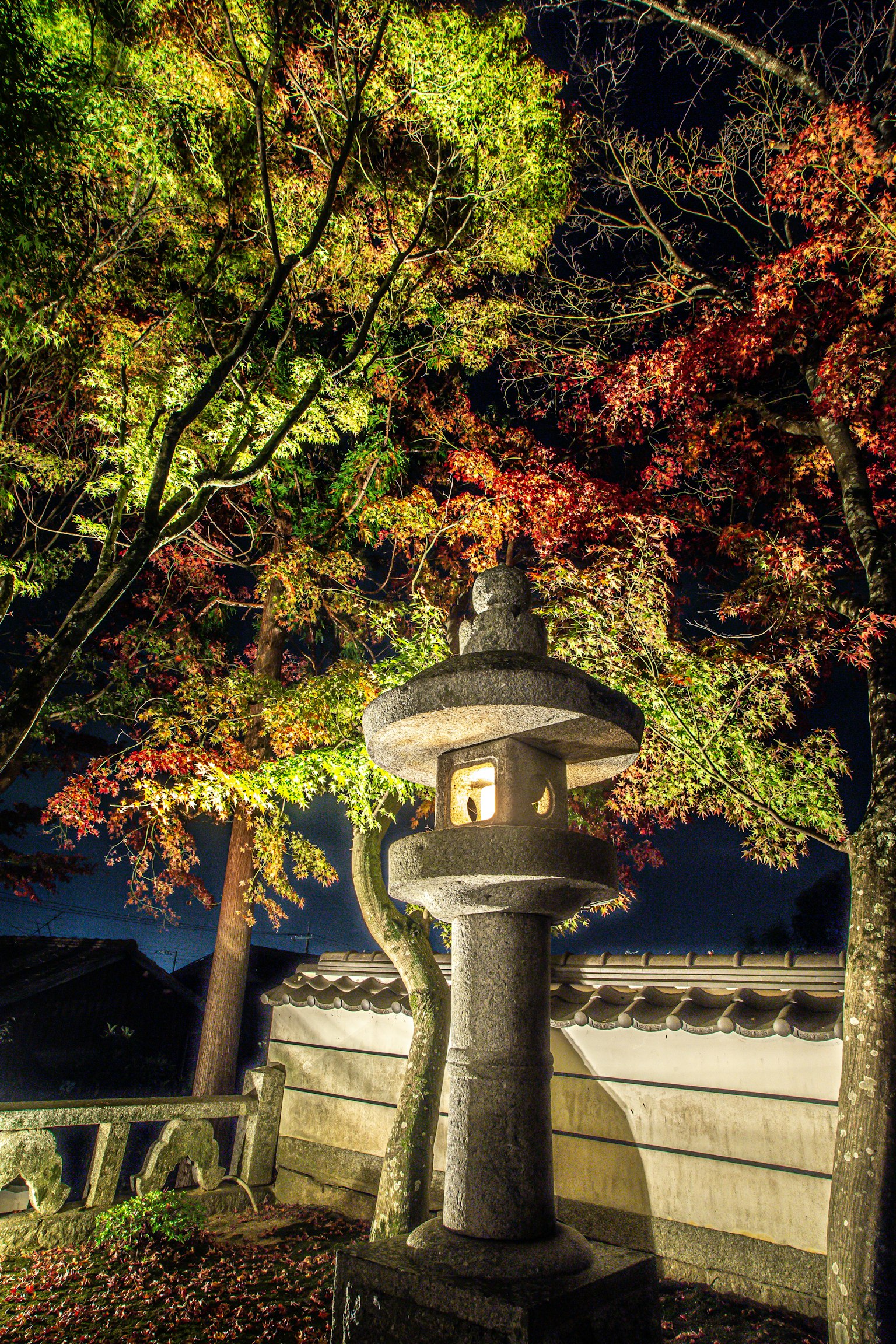photo-xzq6QulPQtY11c61tSc8-image