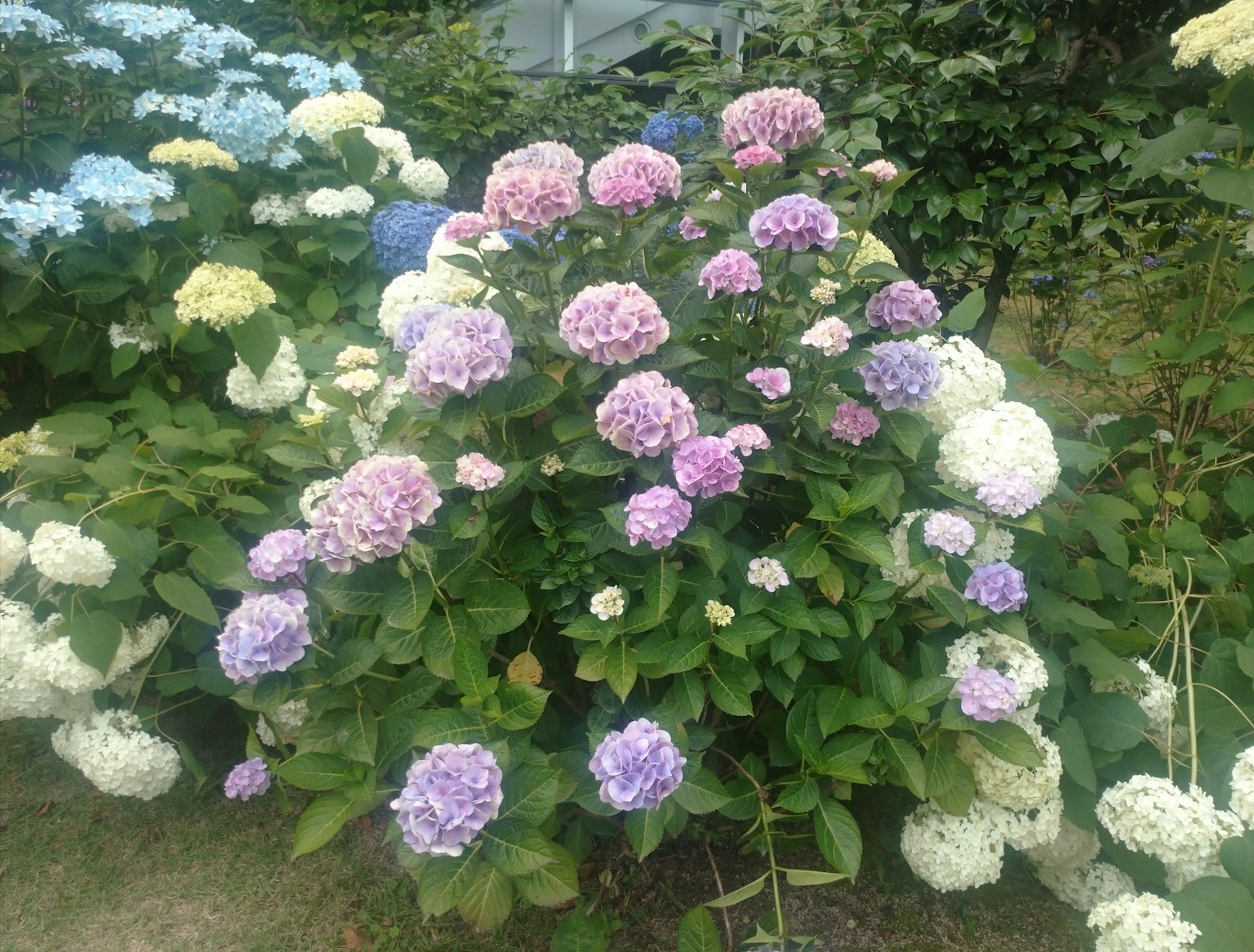 photo-xzzVqQxGcEahrelgtVCx-image