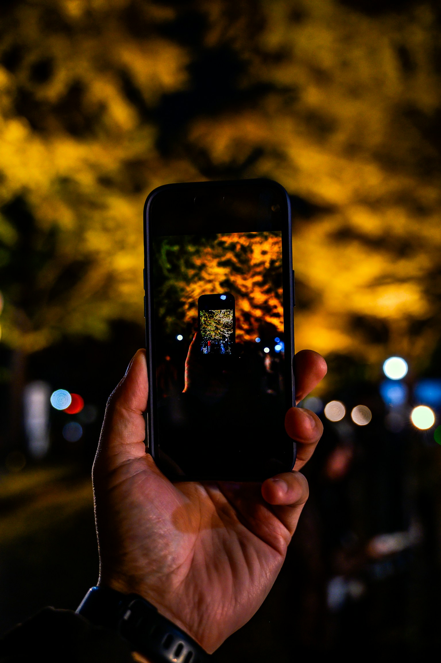 Une main tenant un smartphone affichant des arbres illuminés dans un parc nocturne