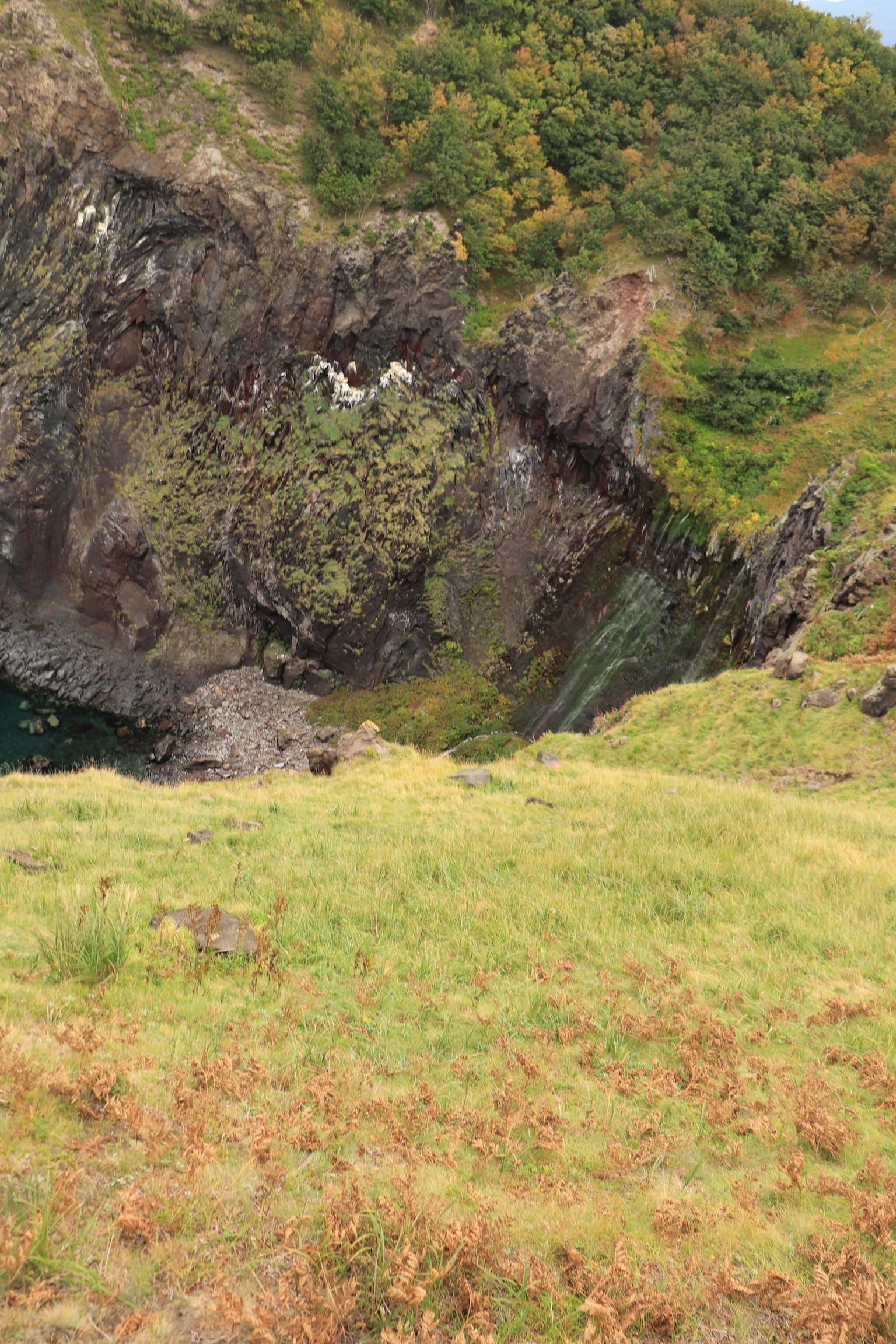 Paisaje costero con hierba verde exuberante y acantilados rocosos